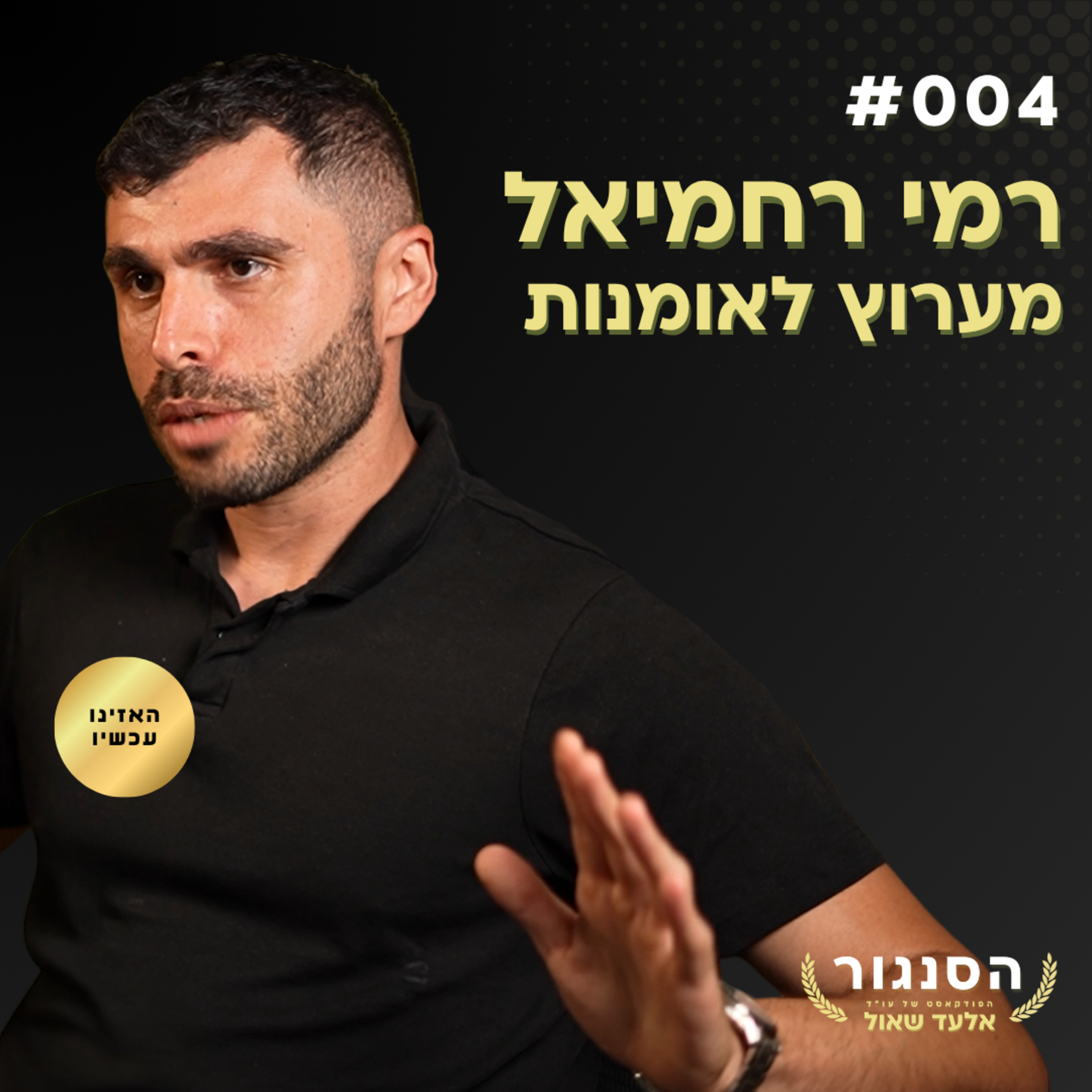 ישראל נערכת למלחמה מלאה מול איראן ו... טורקיה! רמי רחמיאל (רמי מערוץ לאומנות) | הסנגור פרק 004 episode artwork