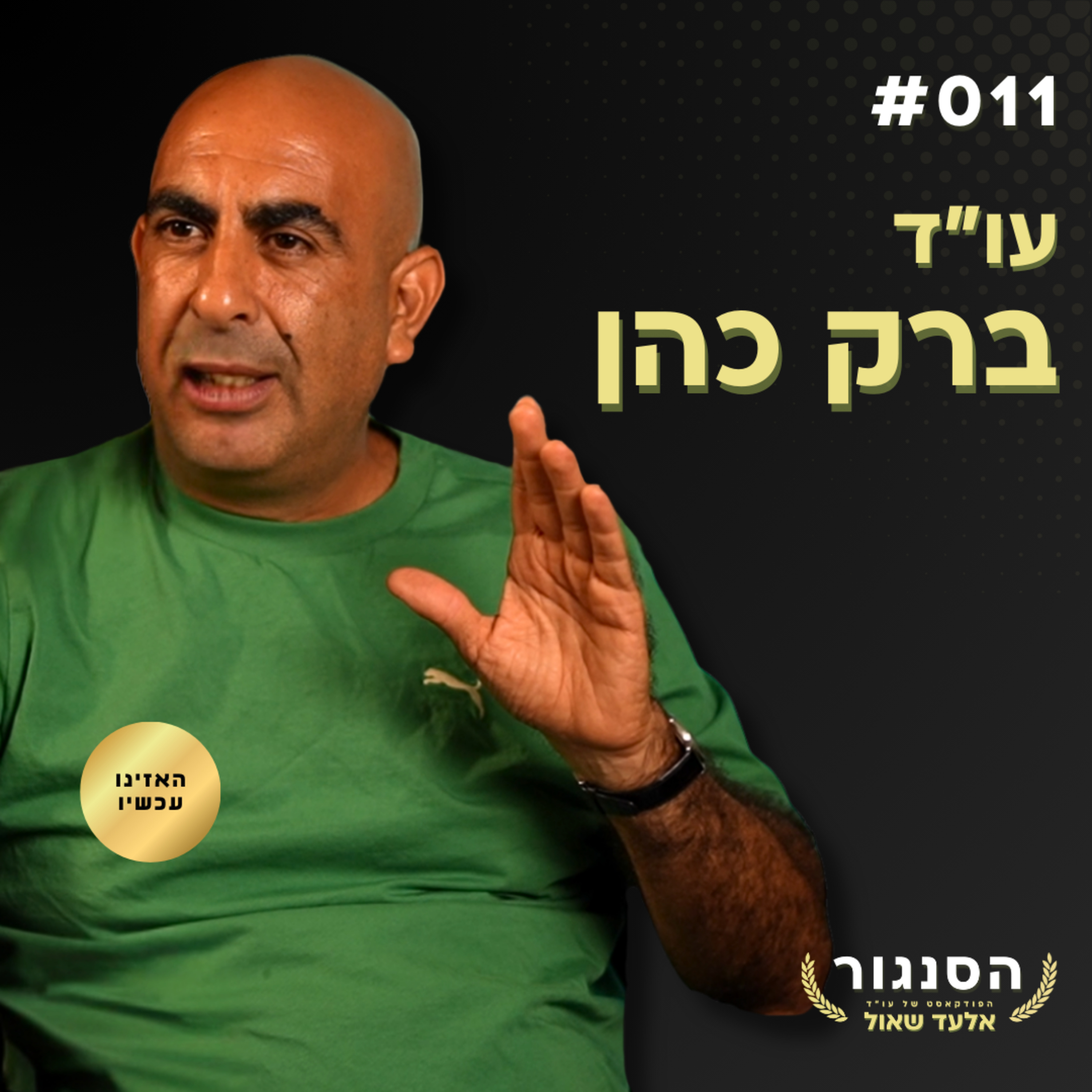 הציונות היא רעה חולה... דגל ישראל חתיכת בד! עו"ד ברק כהן | אלעד שאול הסנגור פרק 011 episode artwork
