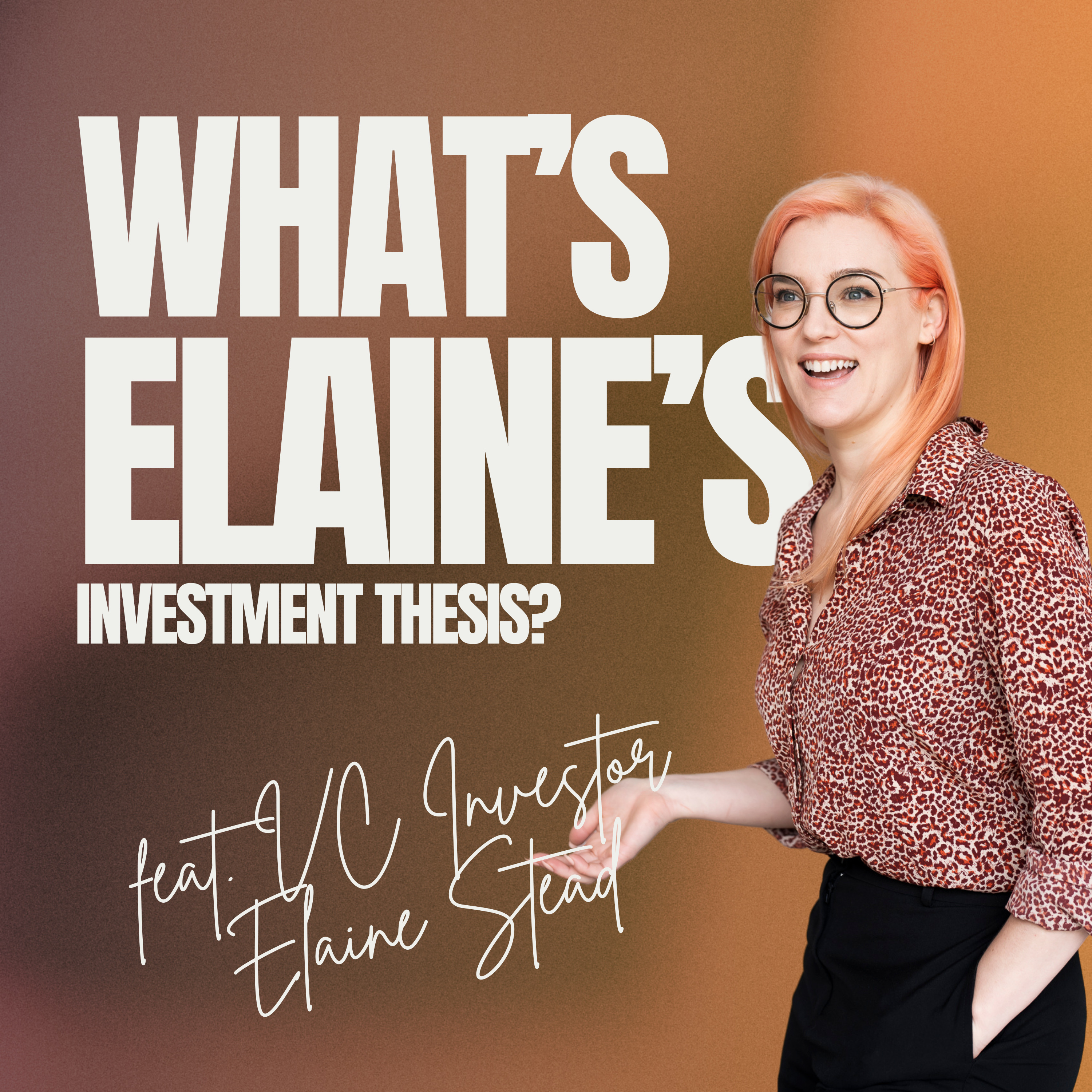 Elaine Stead's Investment Thesis episode artwork