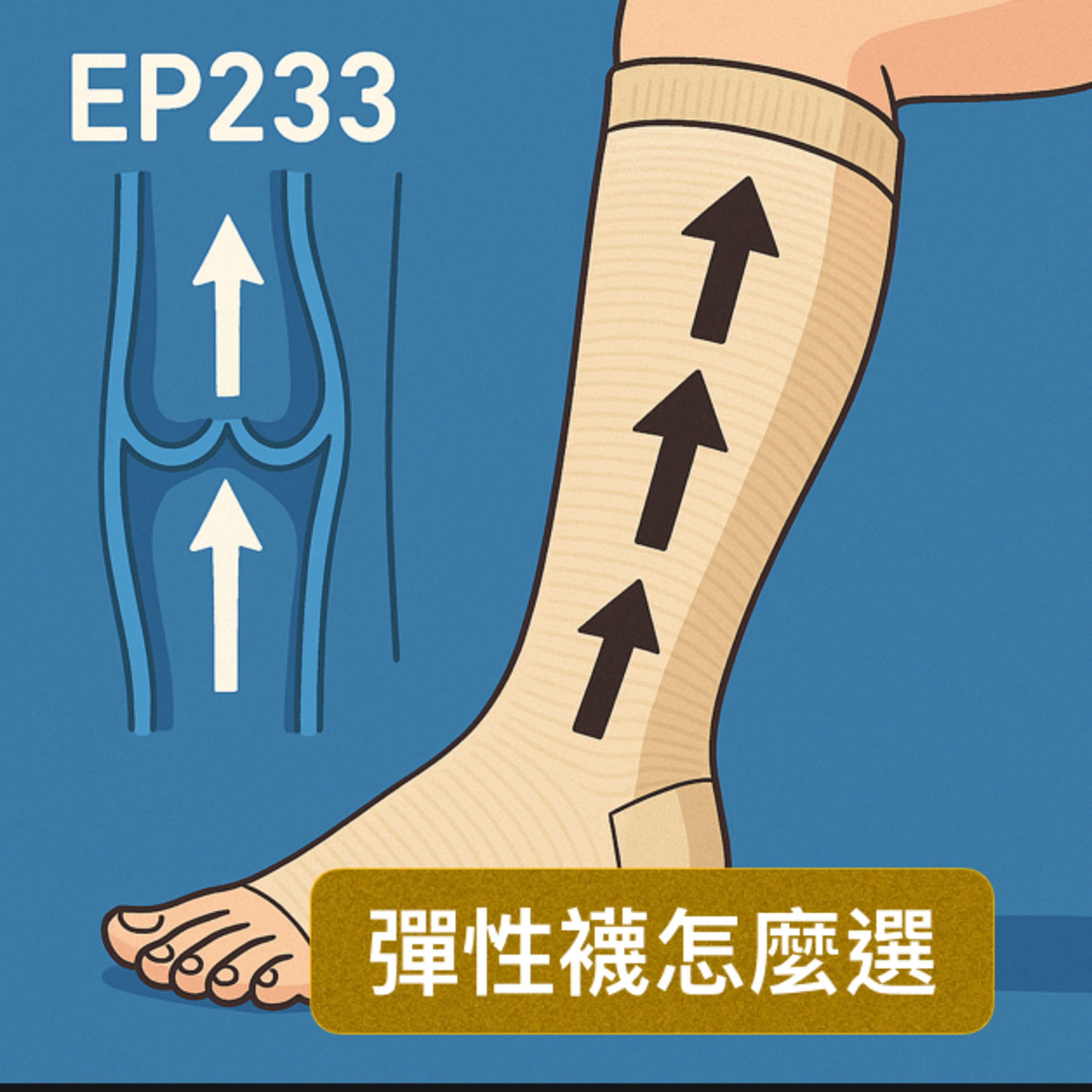 🎙️EP233｜醫療級彈性襪全攻略：壓力等級、挑選要點與正確使用