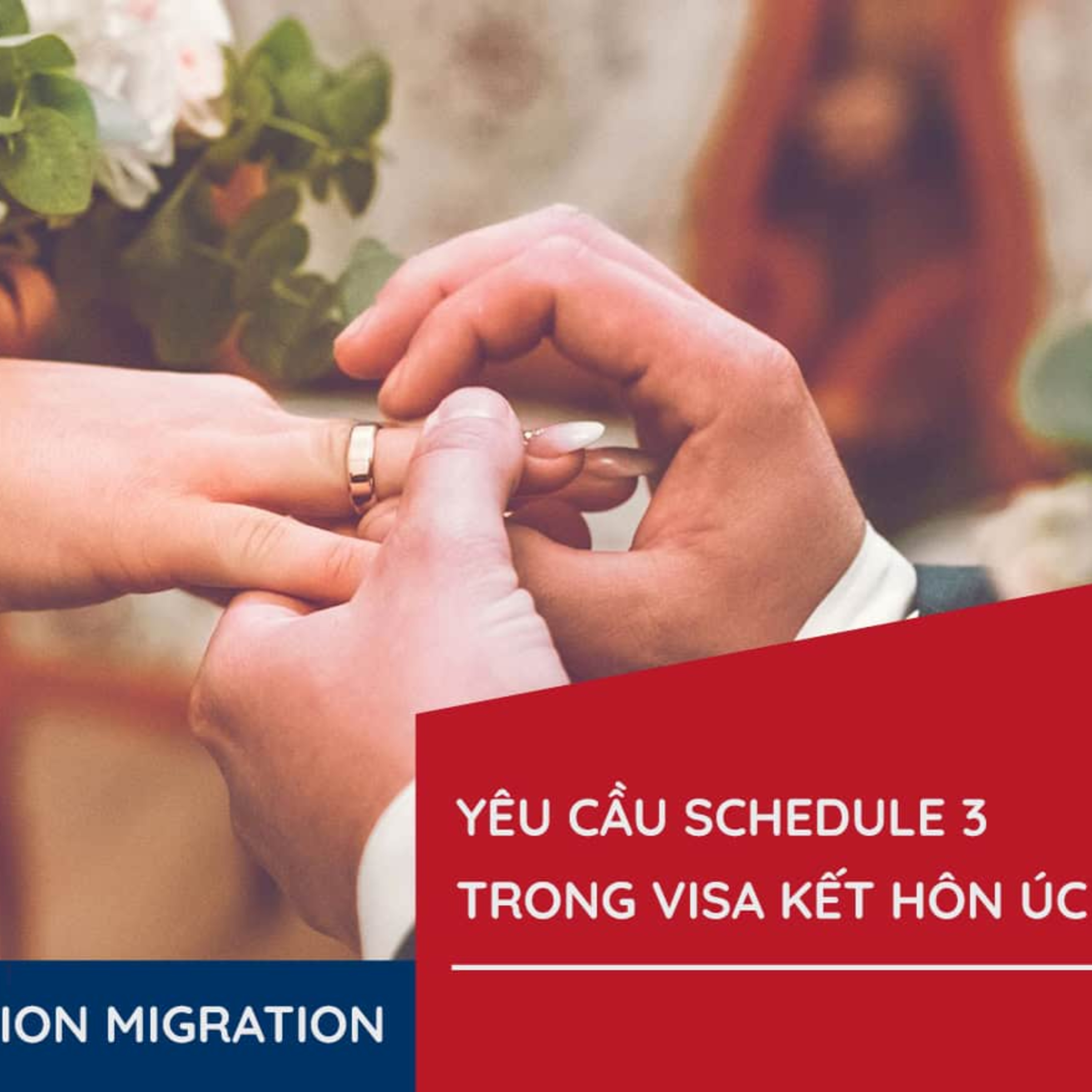 Schedule 3 visa hôn nhân Úc episode artwork