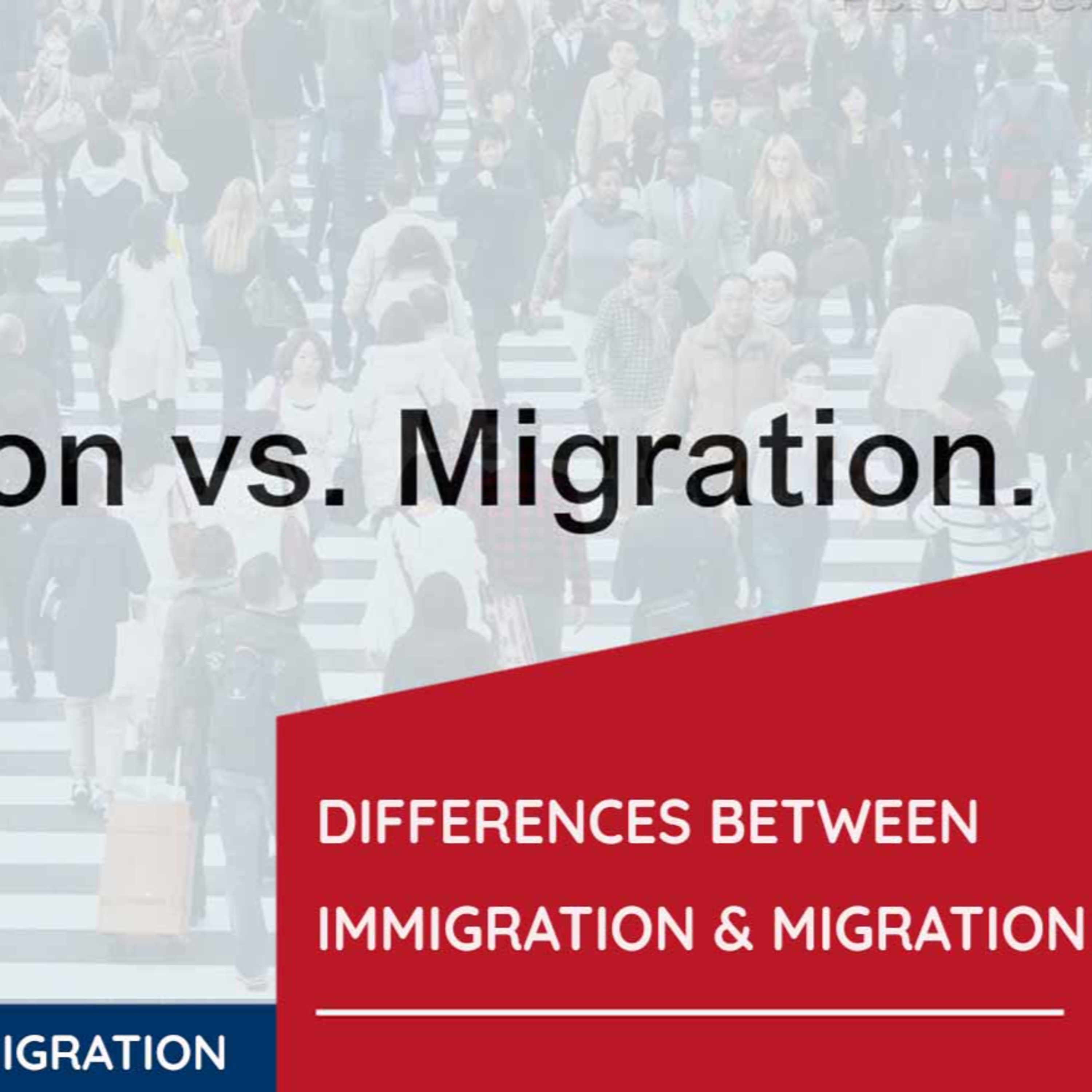 Australian Government Immigration Policy episode artwork