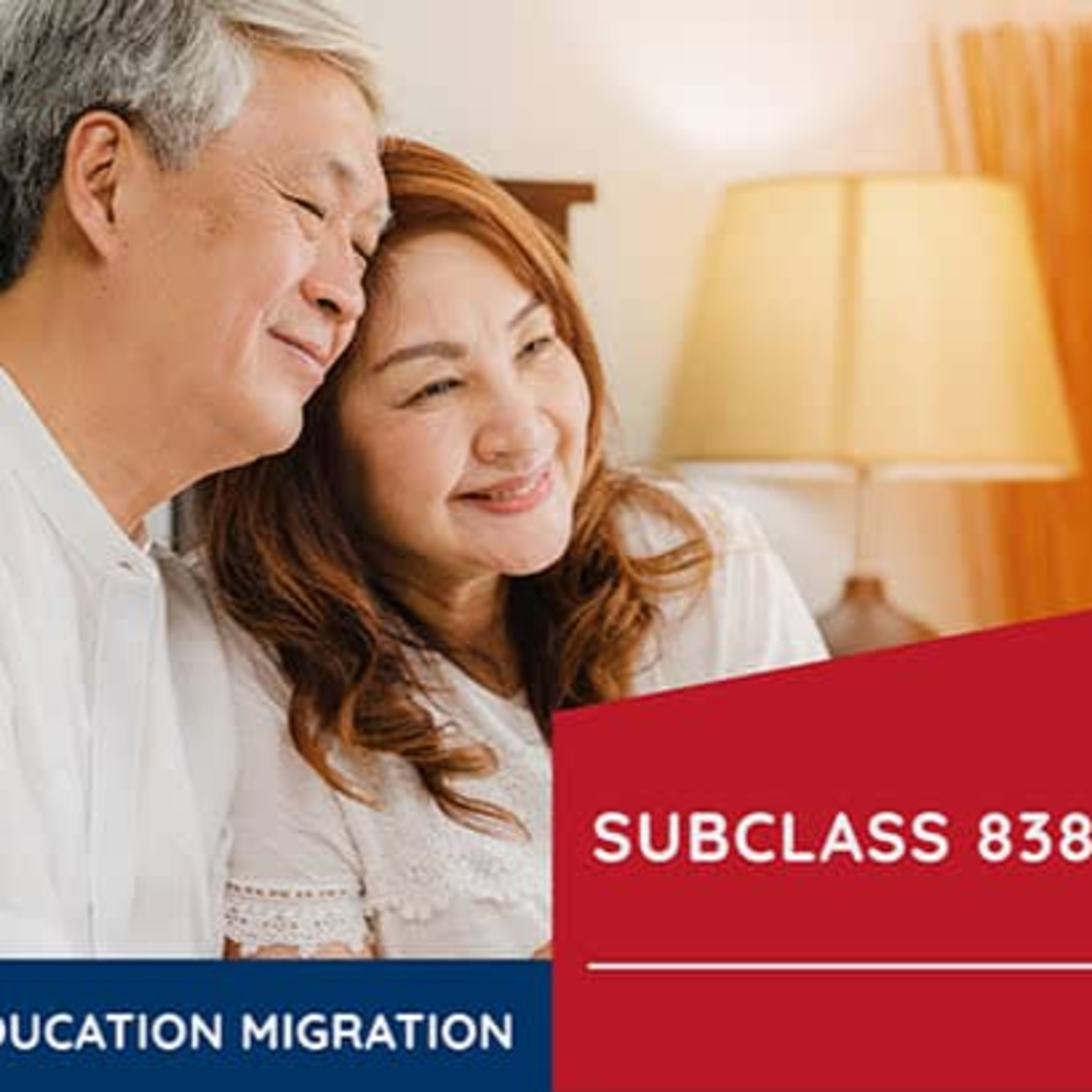 838 Visa episode artwork