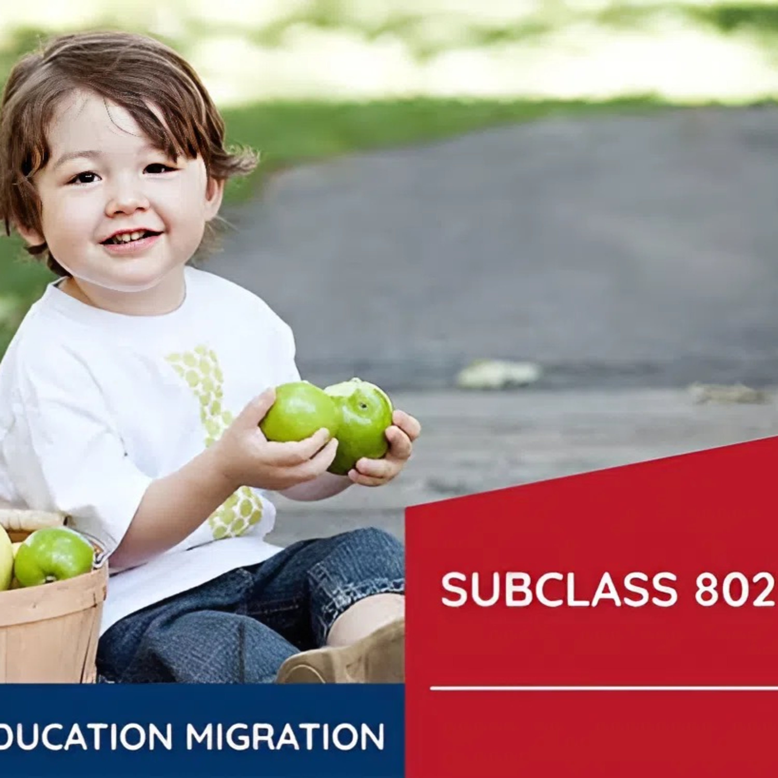 Subclass 802 Visa episode artwork