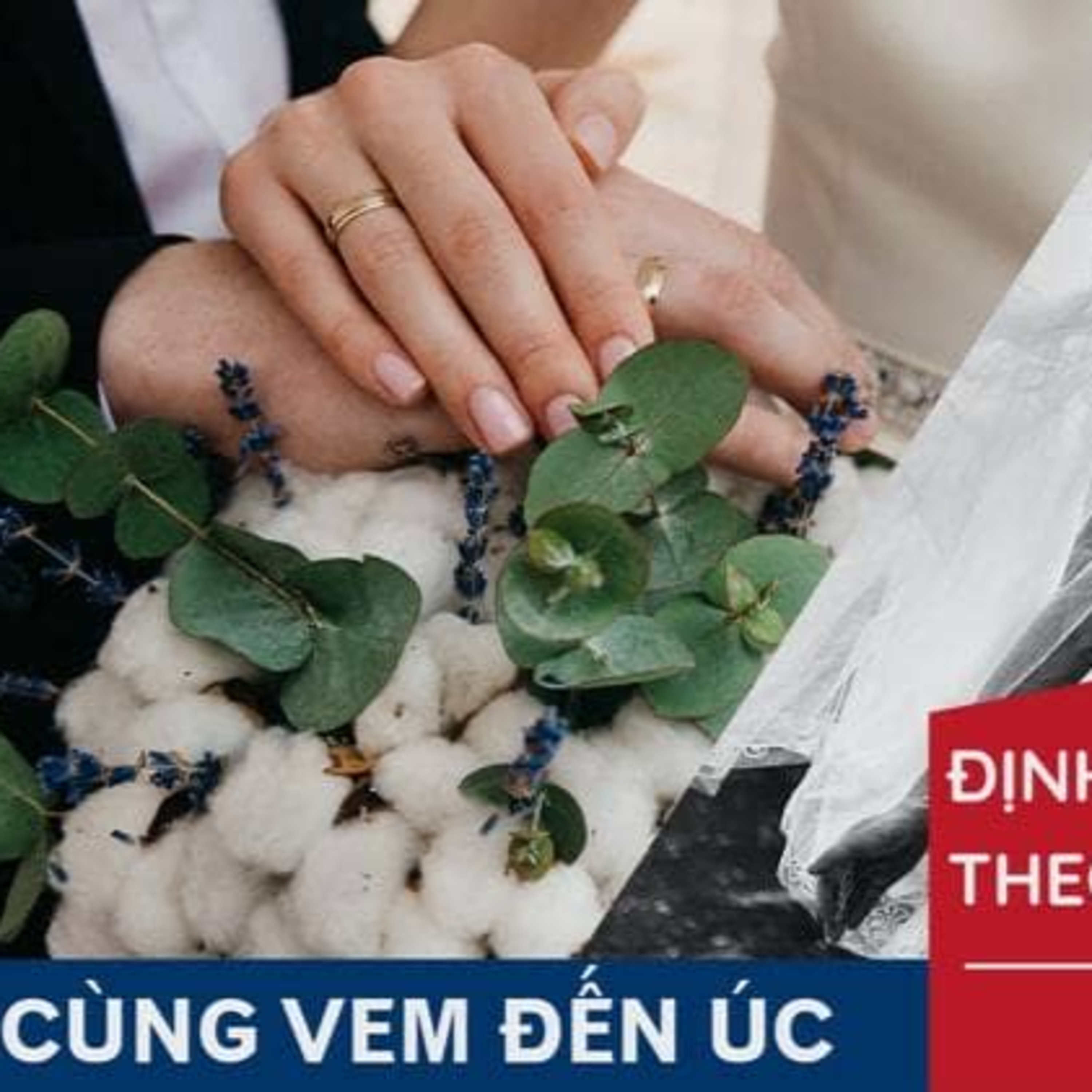 Visa Hôn Nhân Úc episode artwork