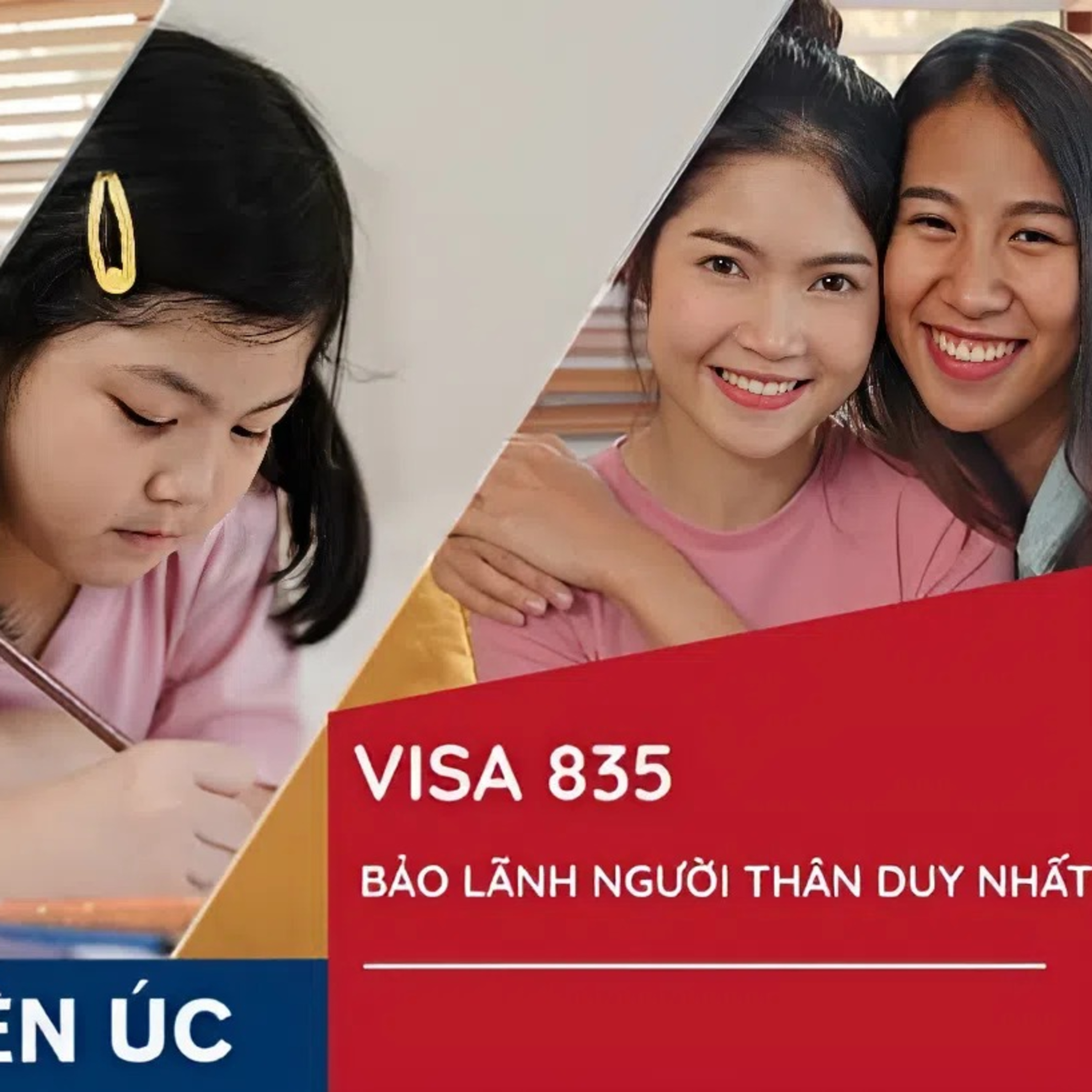 Visa 835 episode artwork