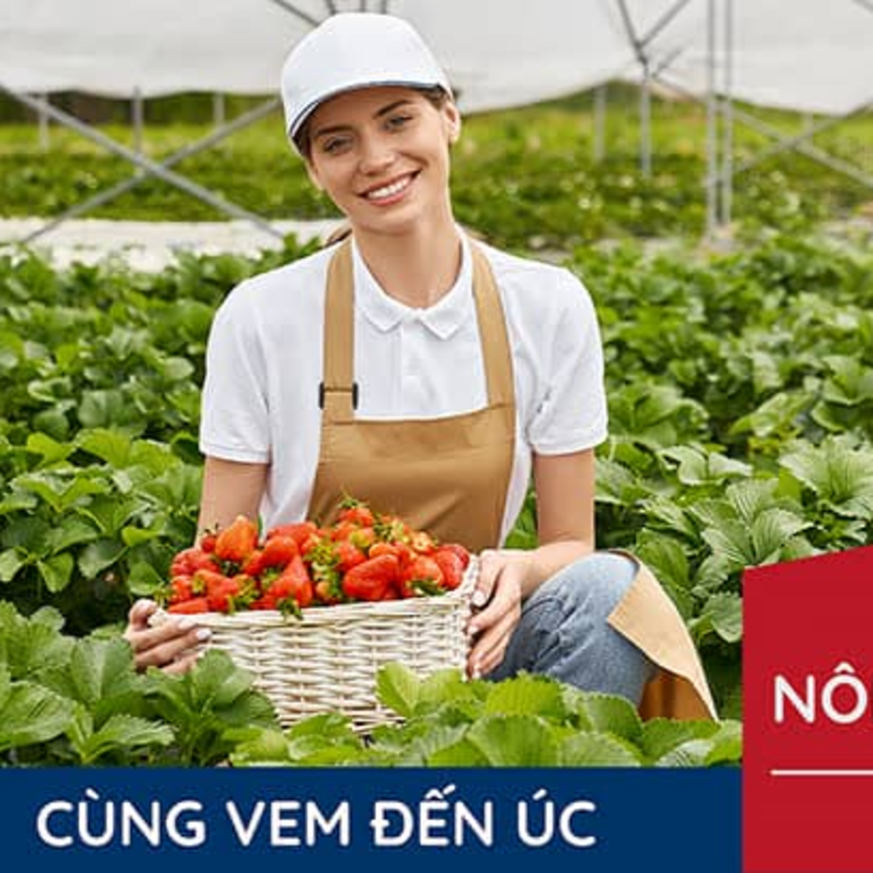 Visa Nông Nghiệp Úc episode artwork
