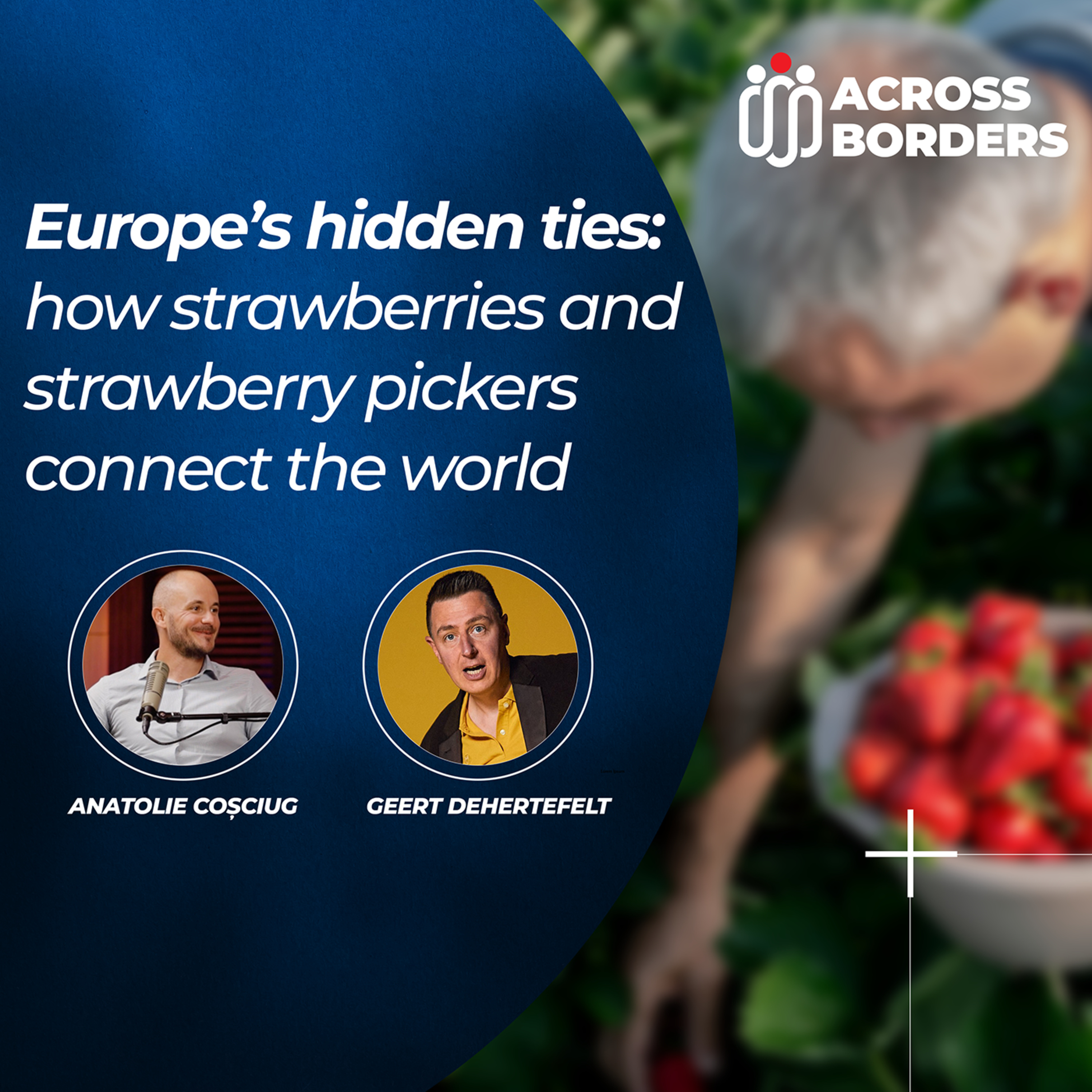Europe’s hidden ties: how strawberries and strawberry pickers connect the world