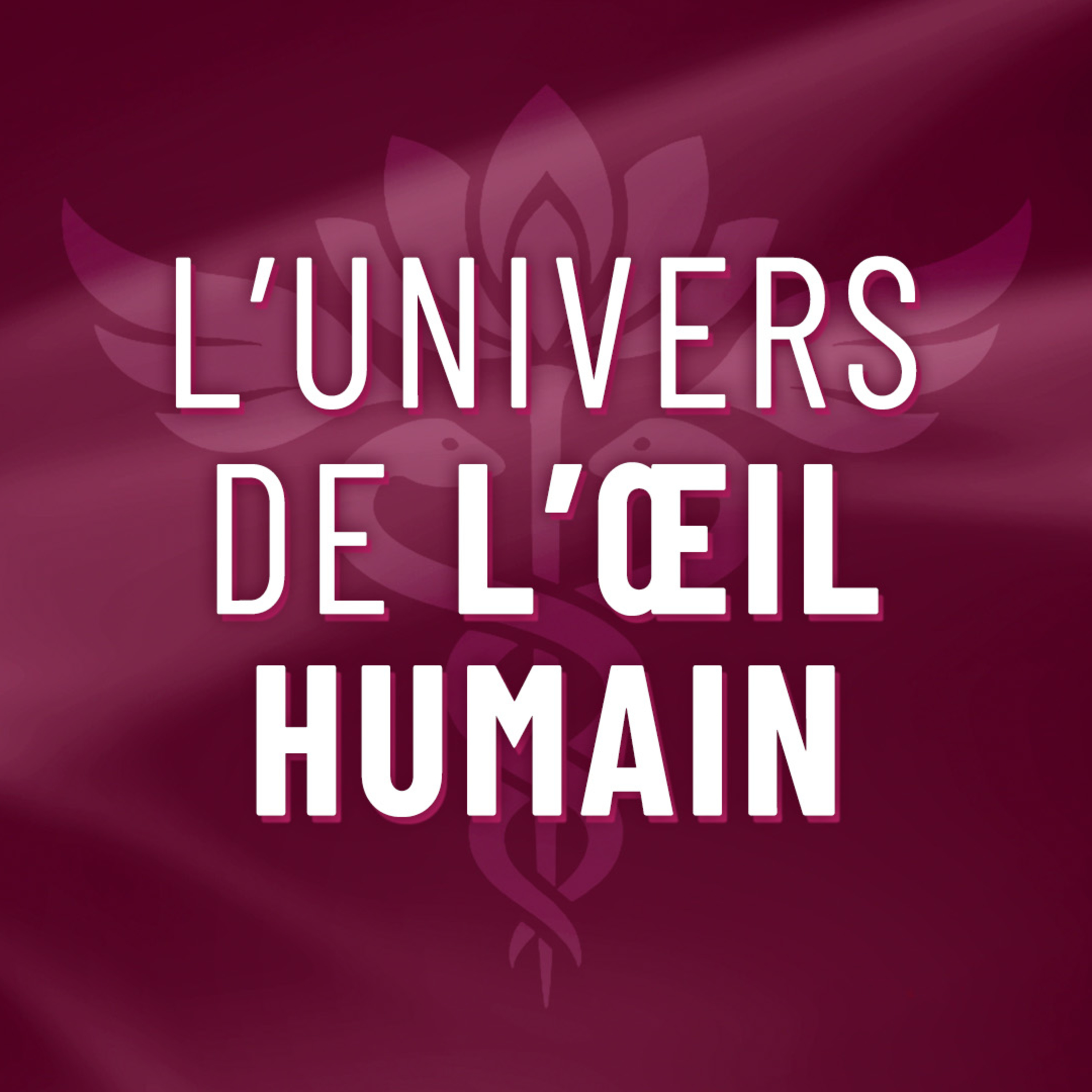 Le Podcast de Dre. Alexandra