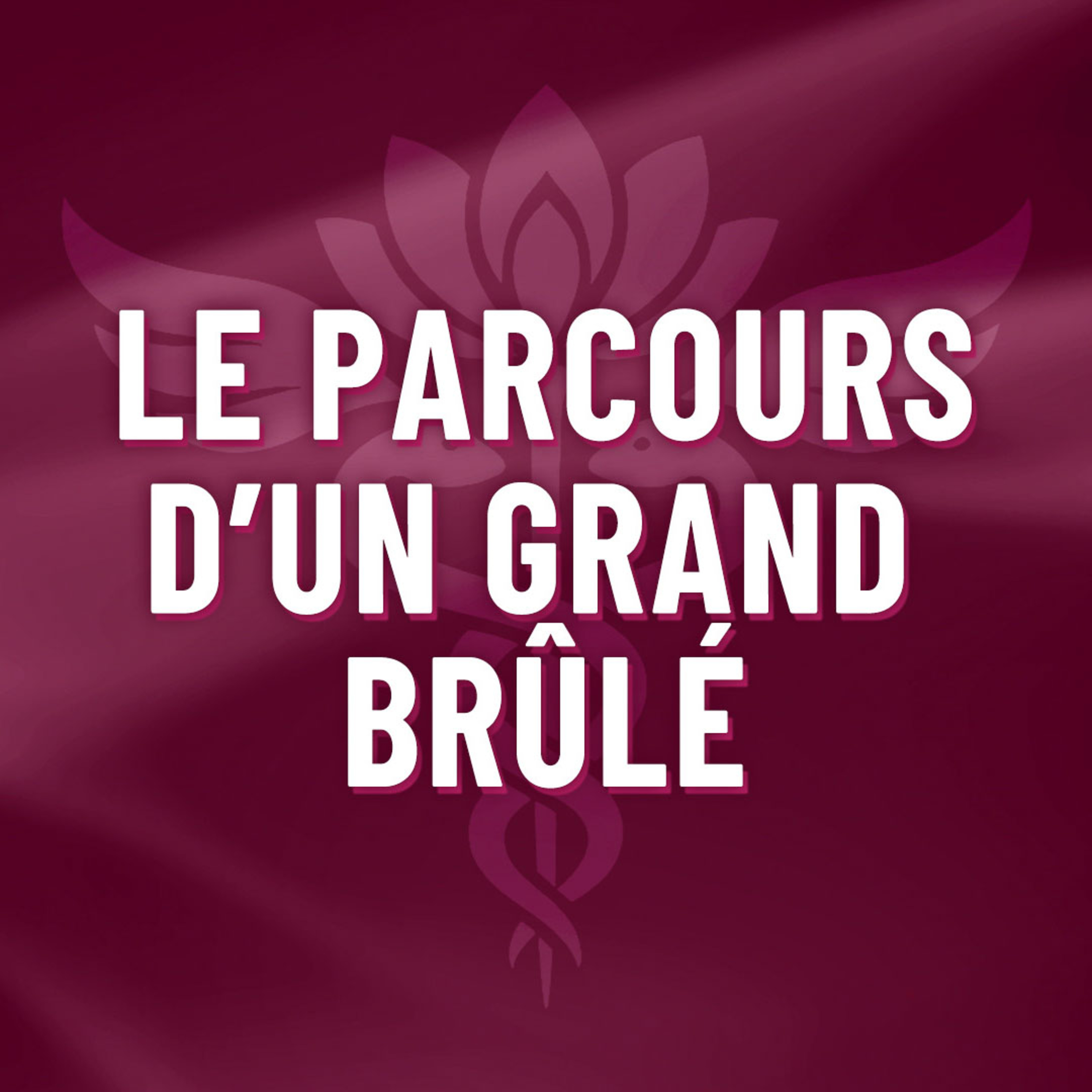 Le Podcast de Dre. Alexandra