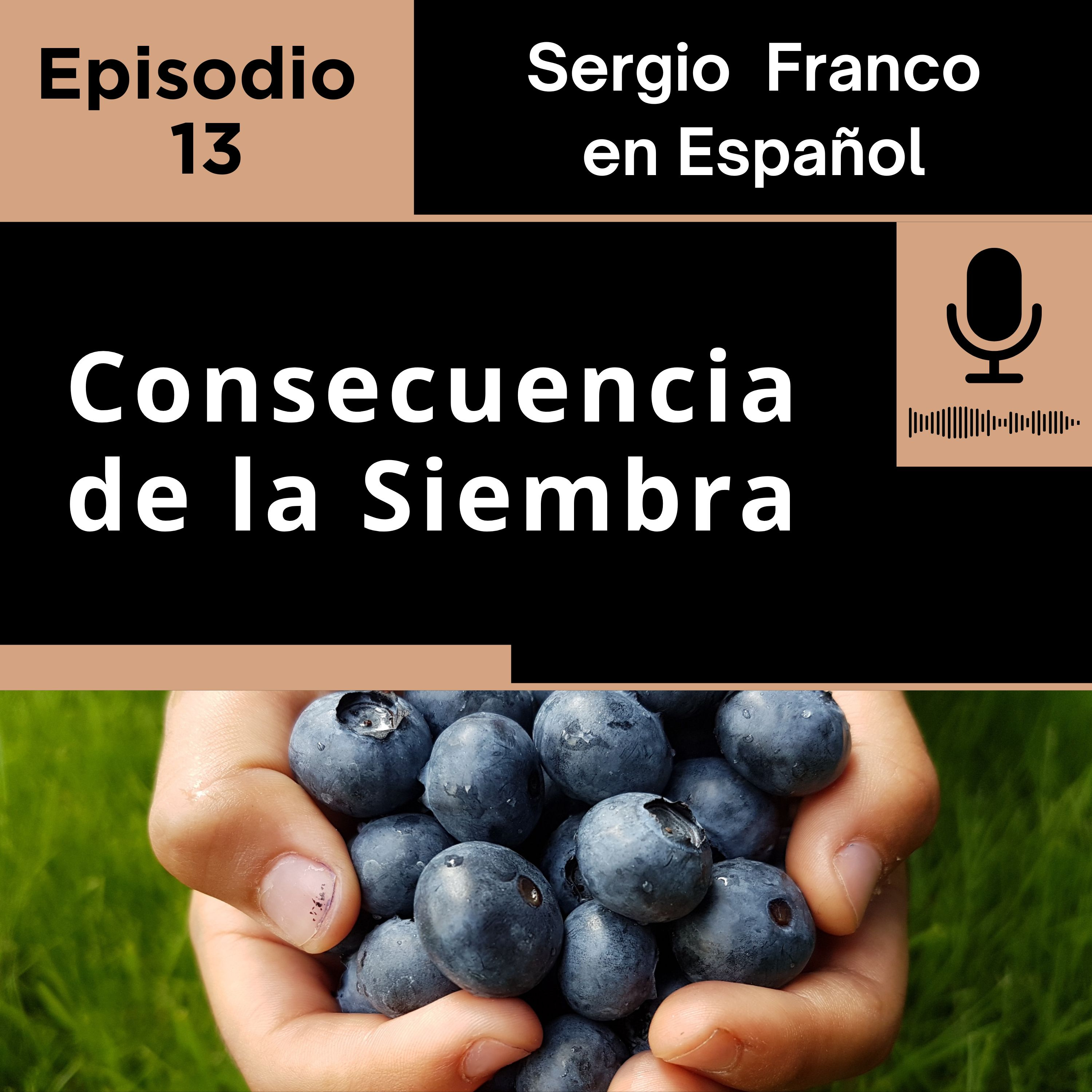 Consecuencia de la Siembra Ep 13 episode artwork