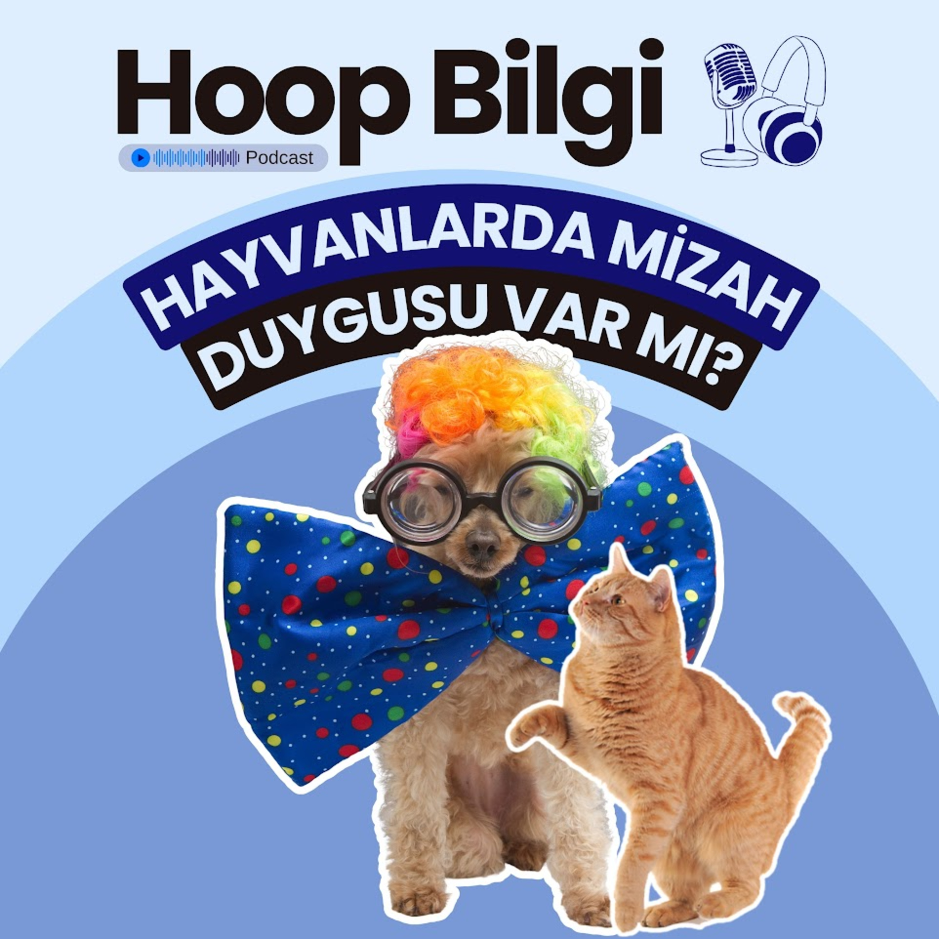 Hoop Bilgi