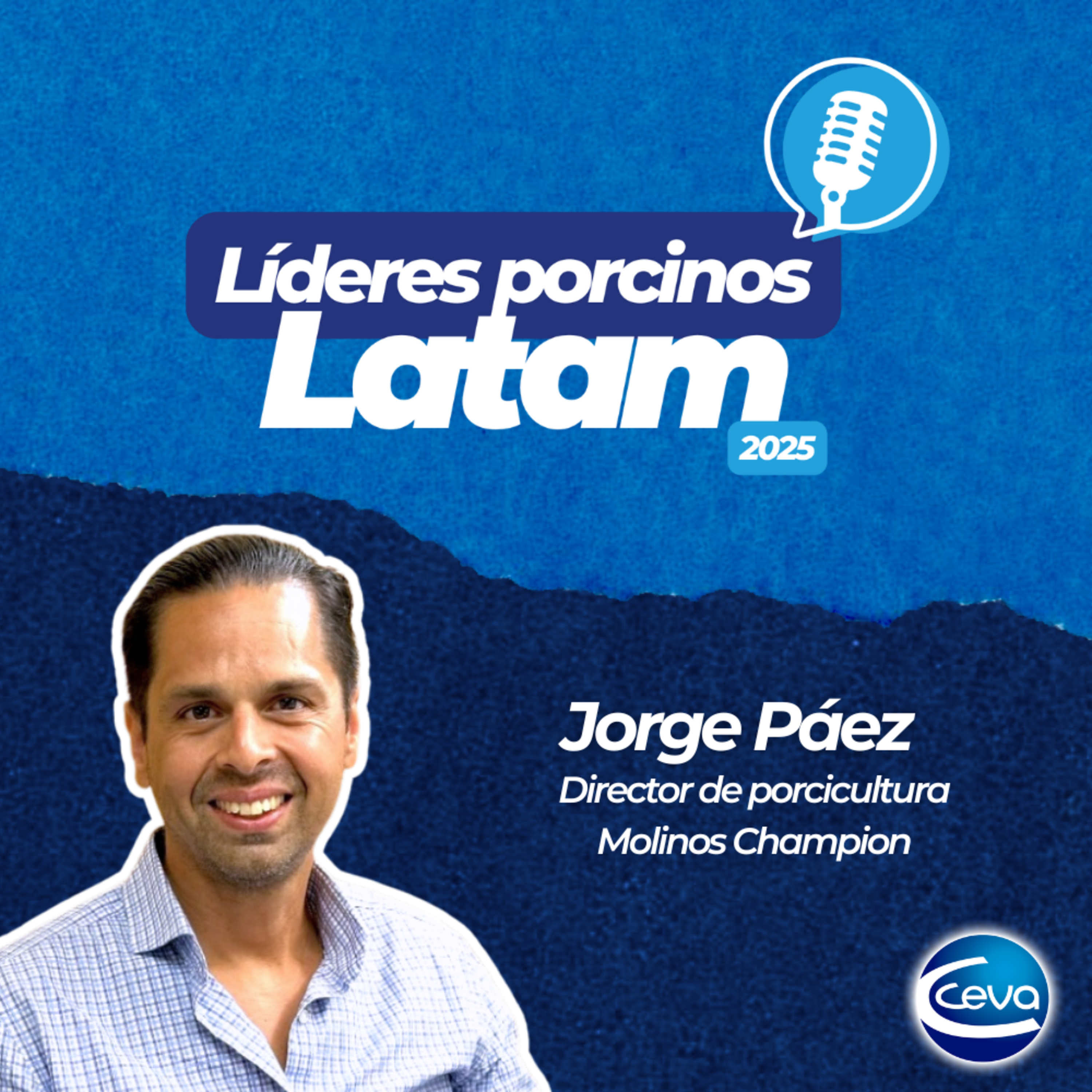 333 LATAM