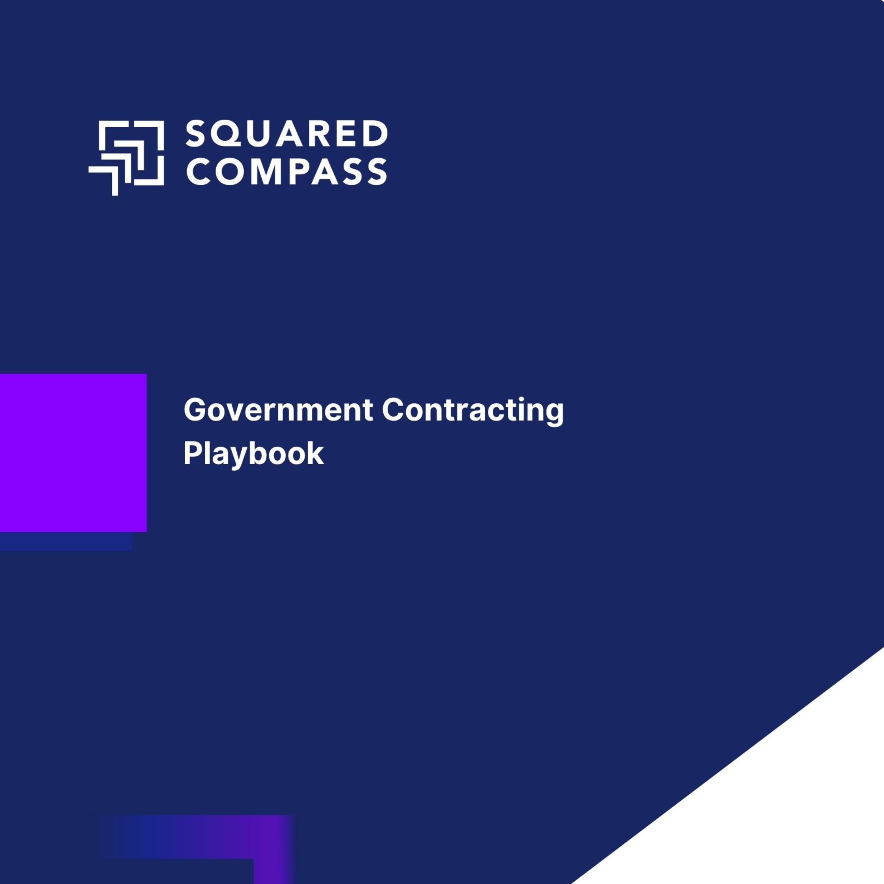 Government Contractor’s Playbook