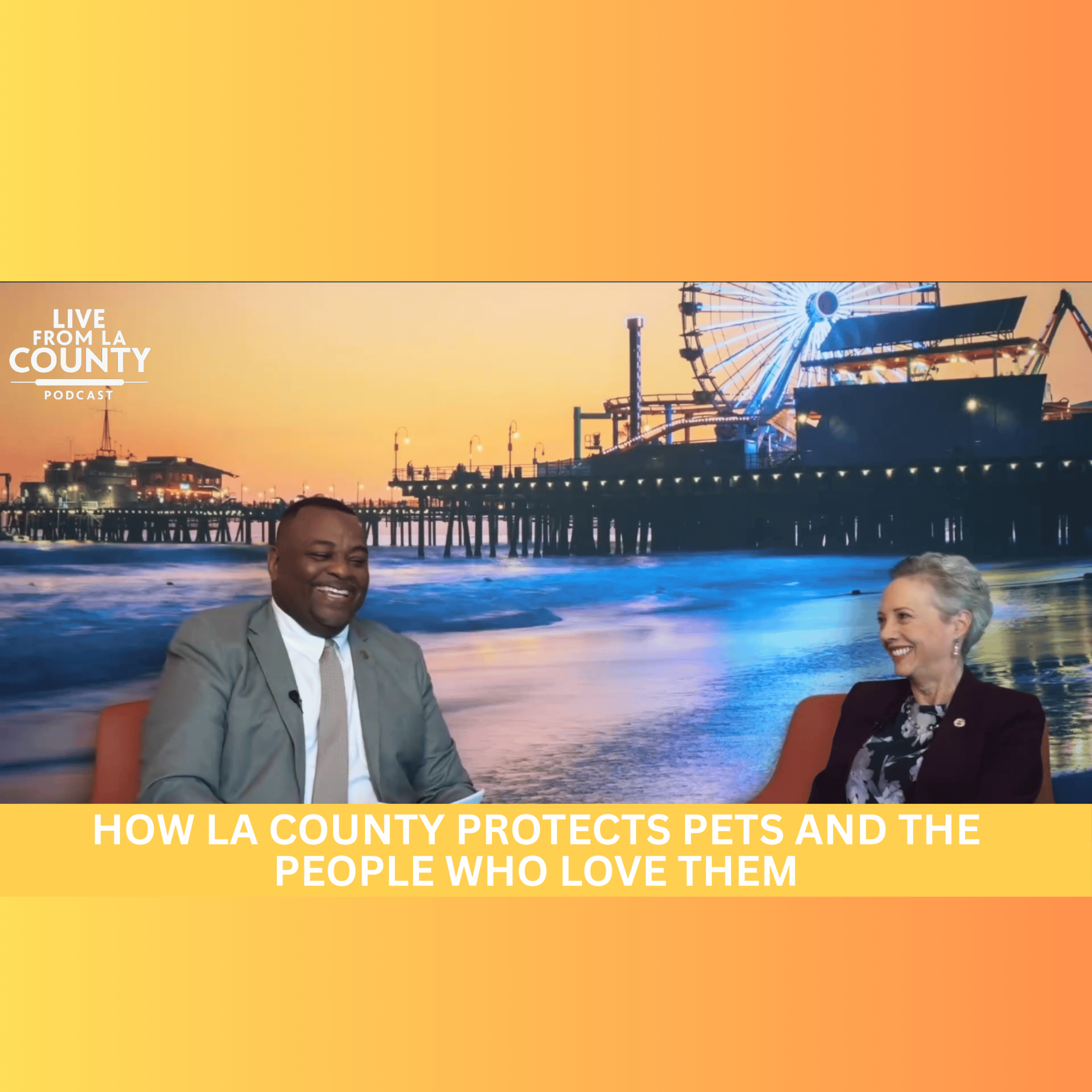 How LA County Protects Pets and the People Who Love Them episode artwork