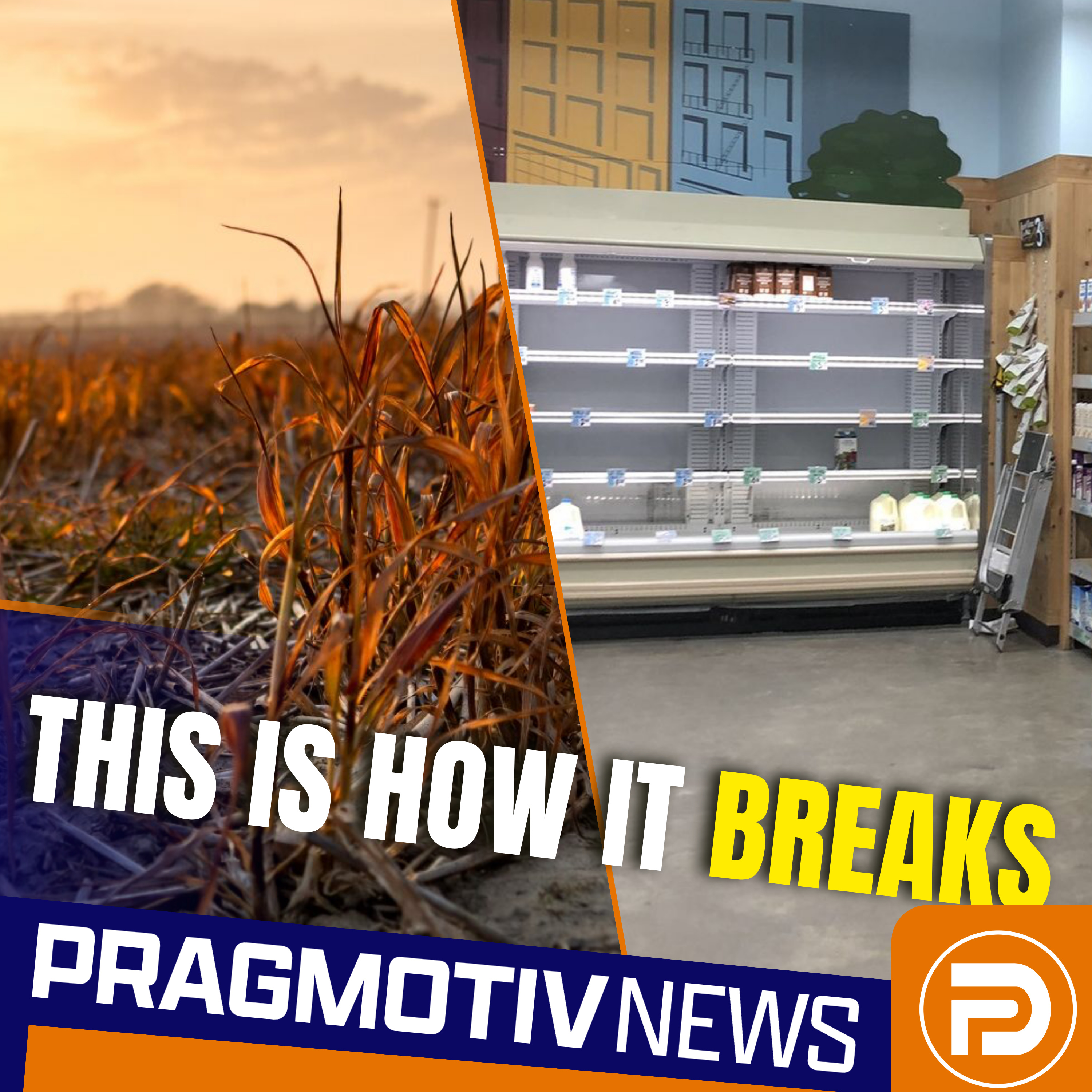 How ICE Is Putting America’s Food at Risk episode artwork
