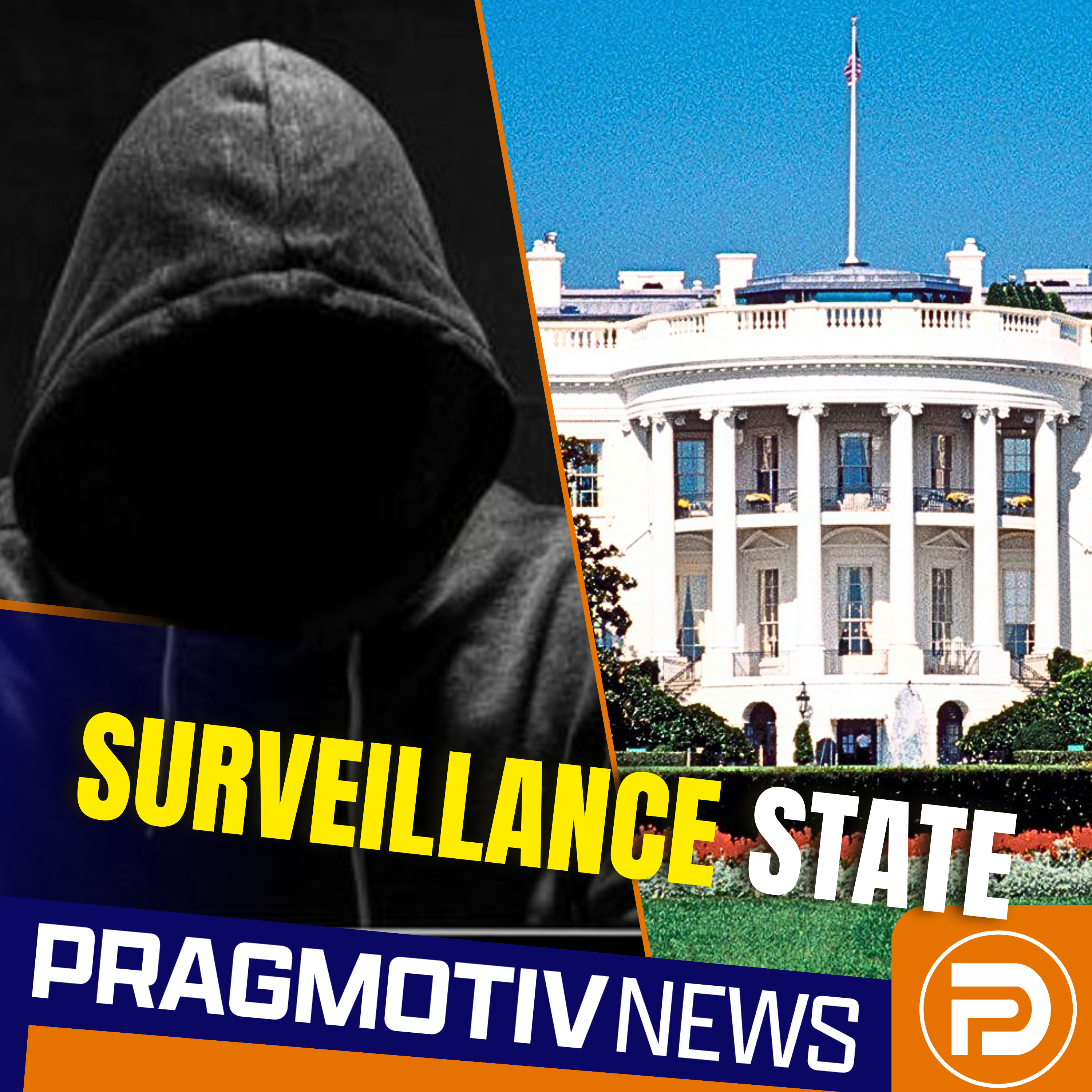 The Government Is Mining Your Data — Immigration Is the Cover episode artwork