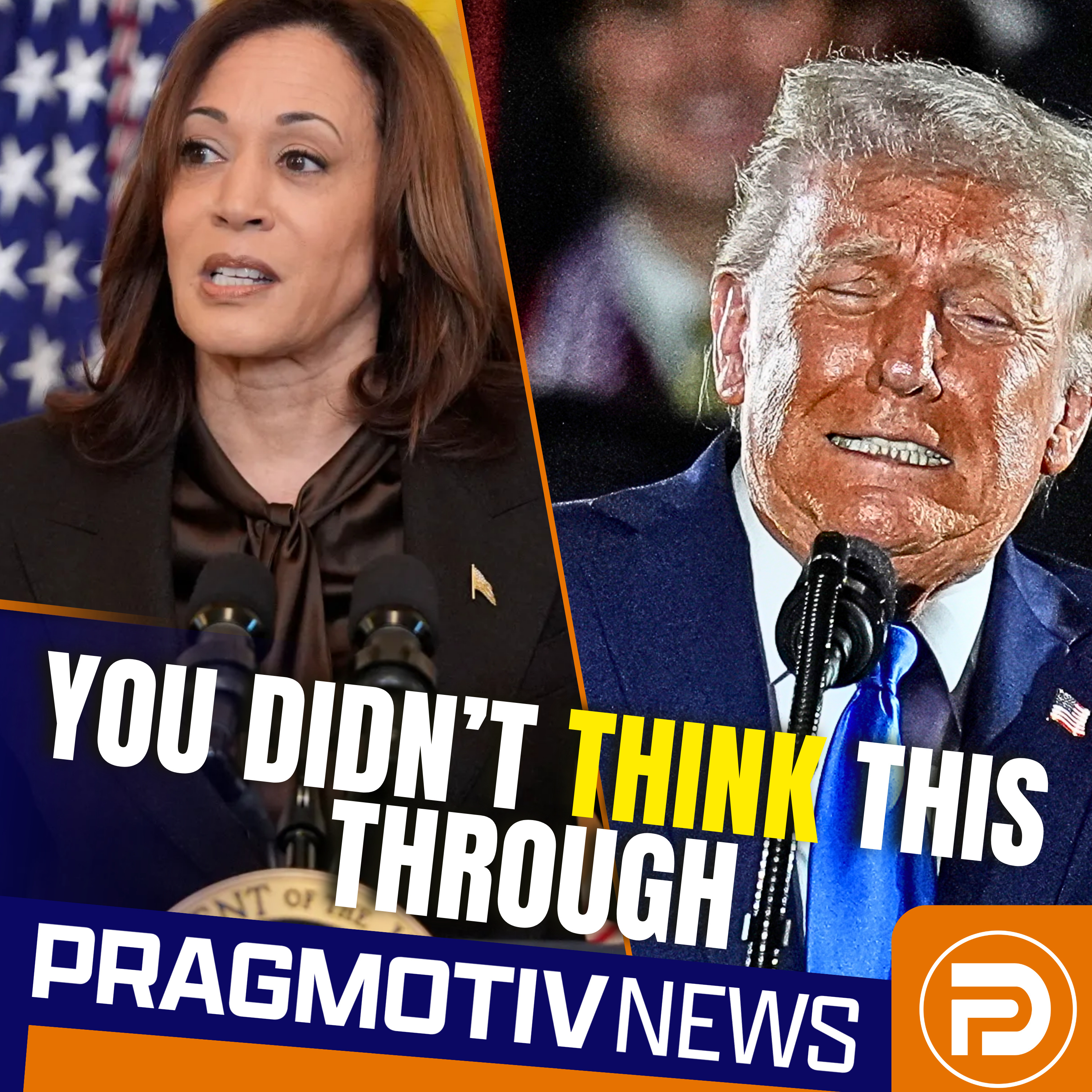 What Happens When You Sit Out an Election to Make a Point episode artwork