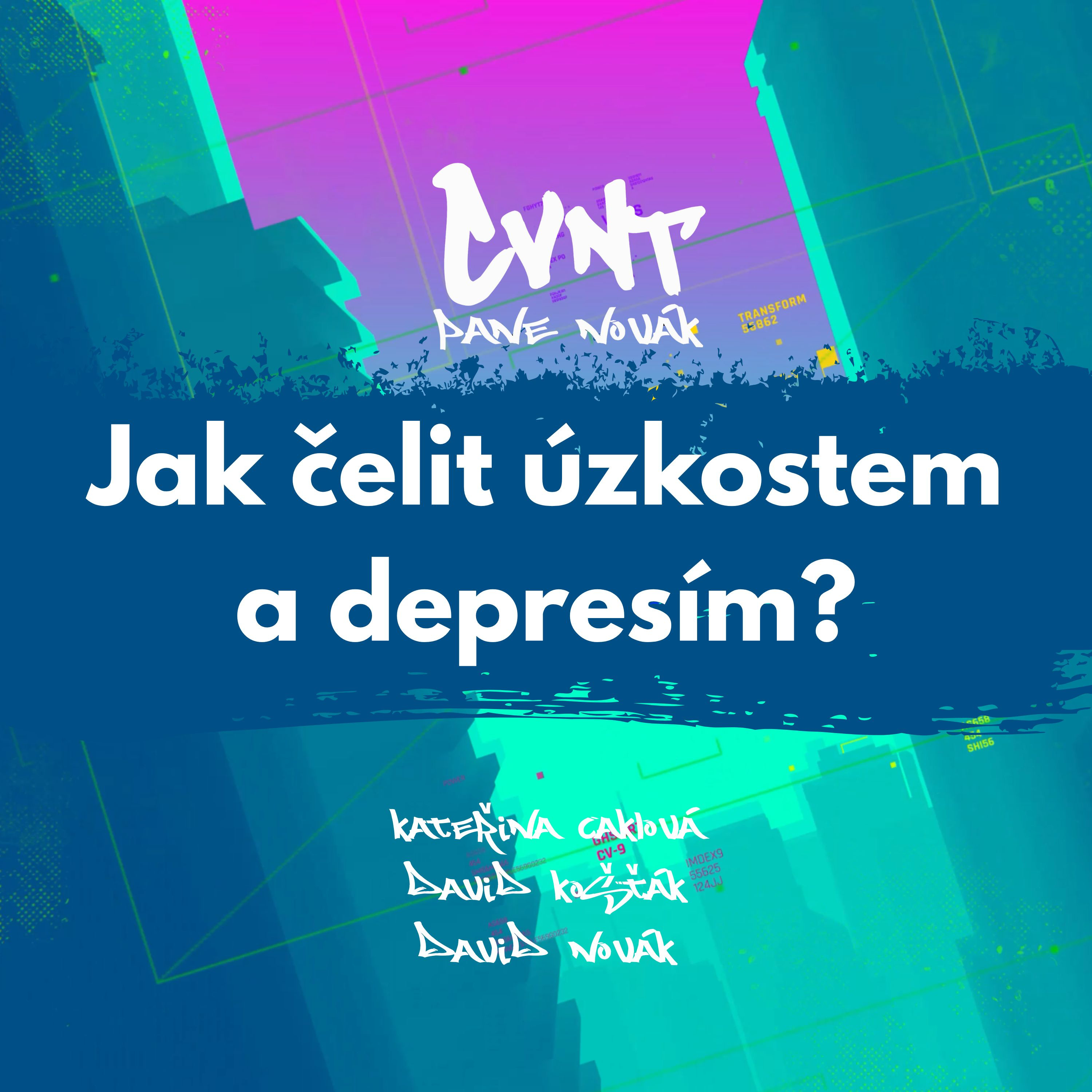 CVNT pane Novák