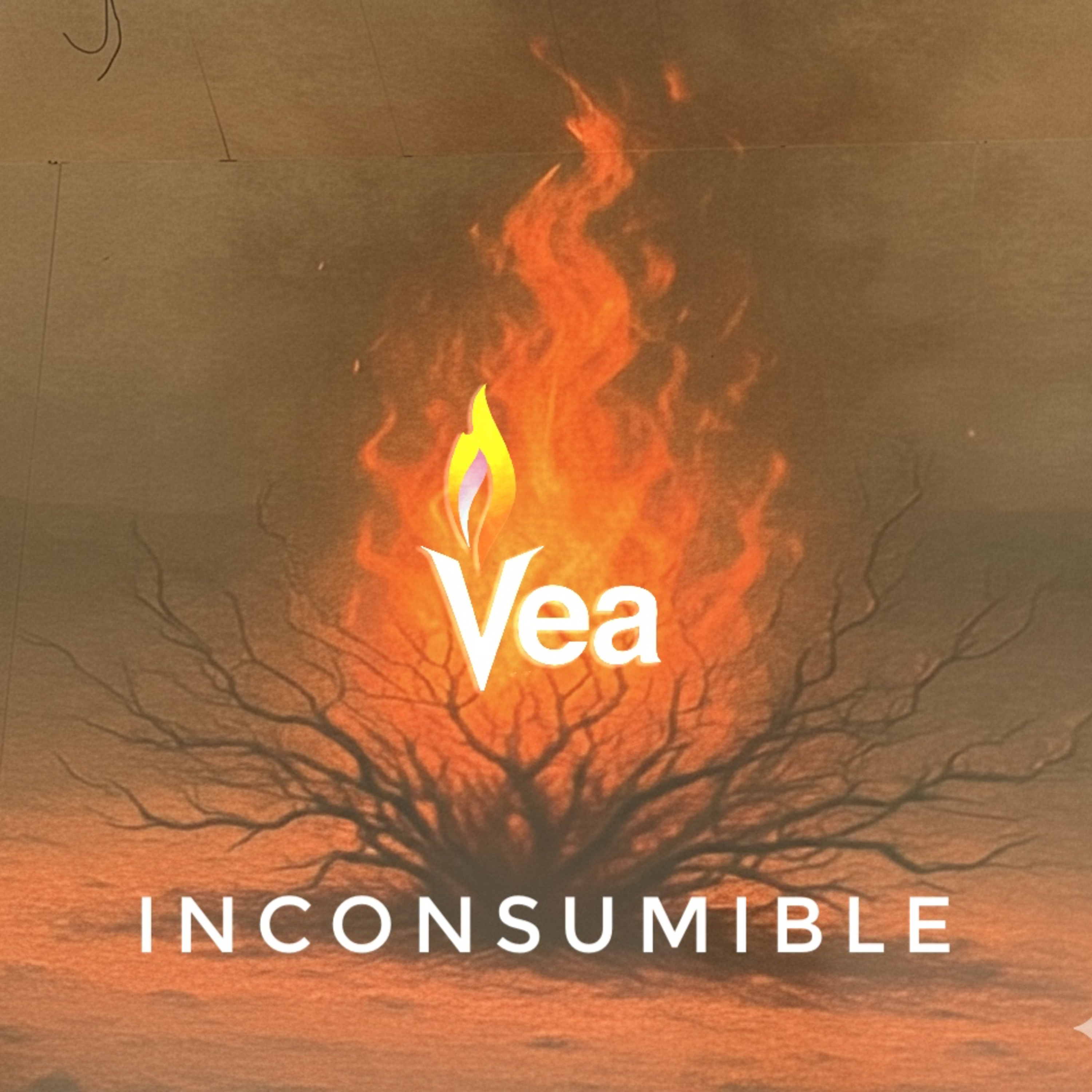 Inconsumible