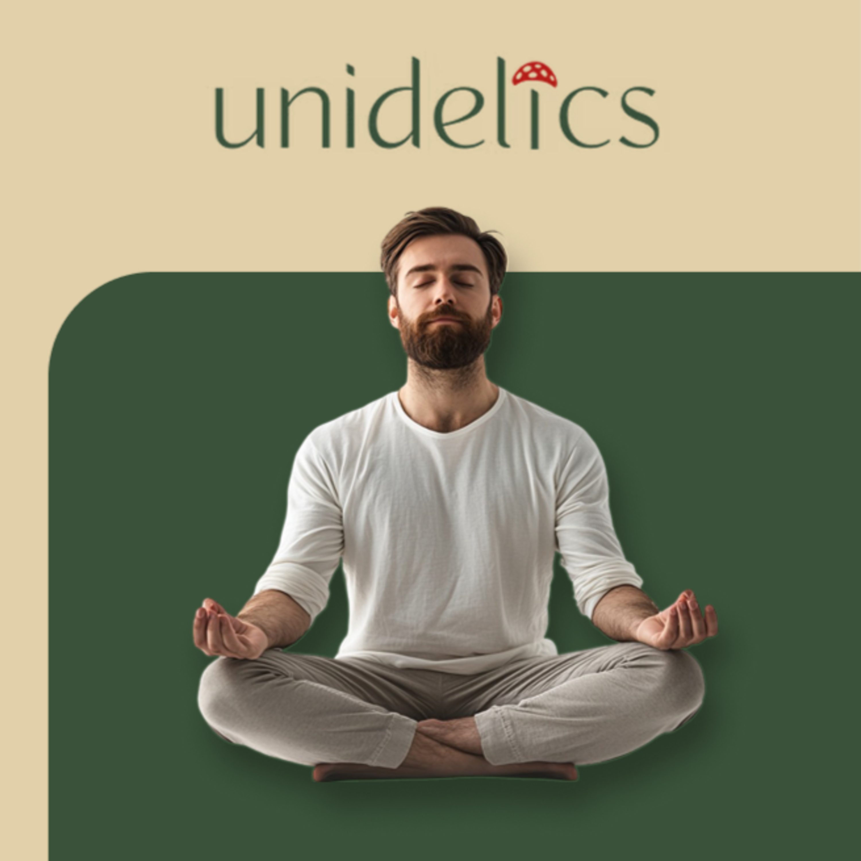 Unidelics: Ясный ум, живое тело, глубокий дух