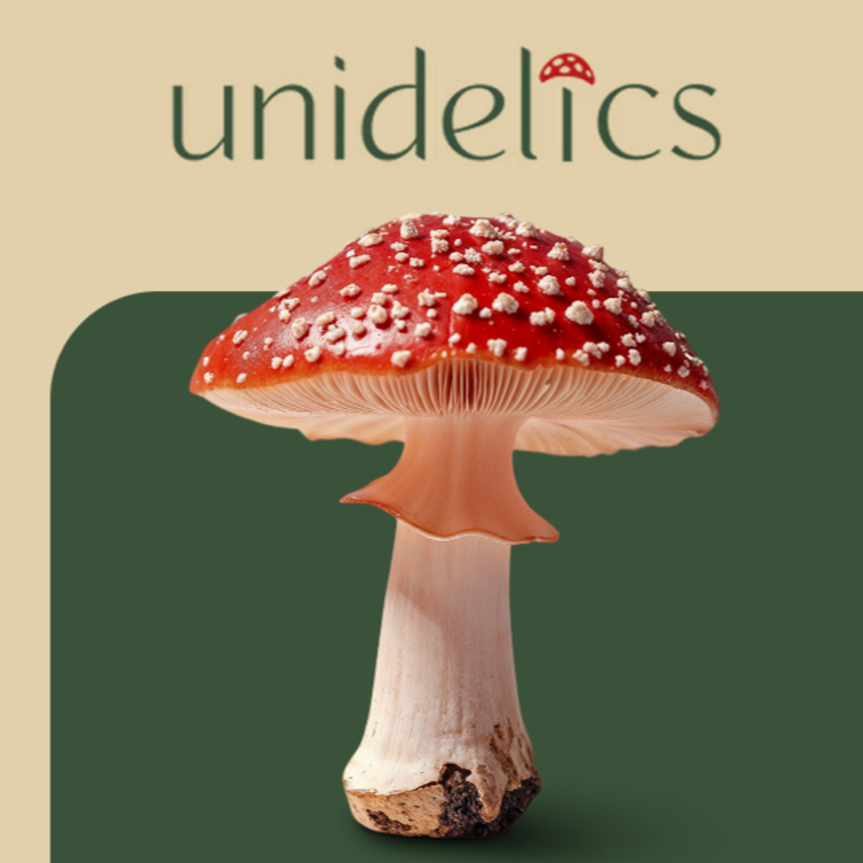 Unidelics: Tools for the Changing Mind (ENG)