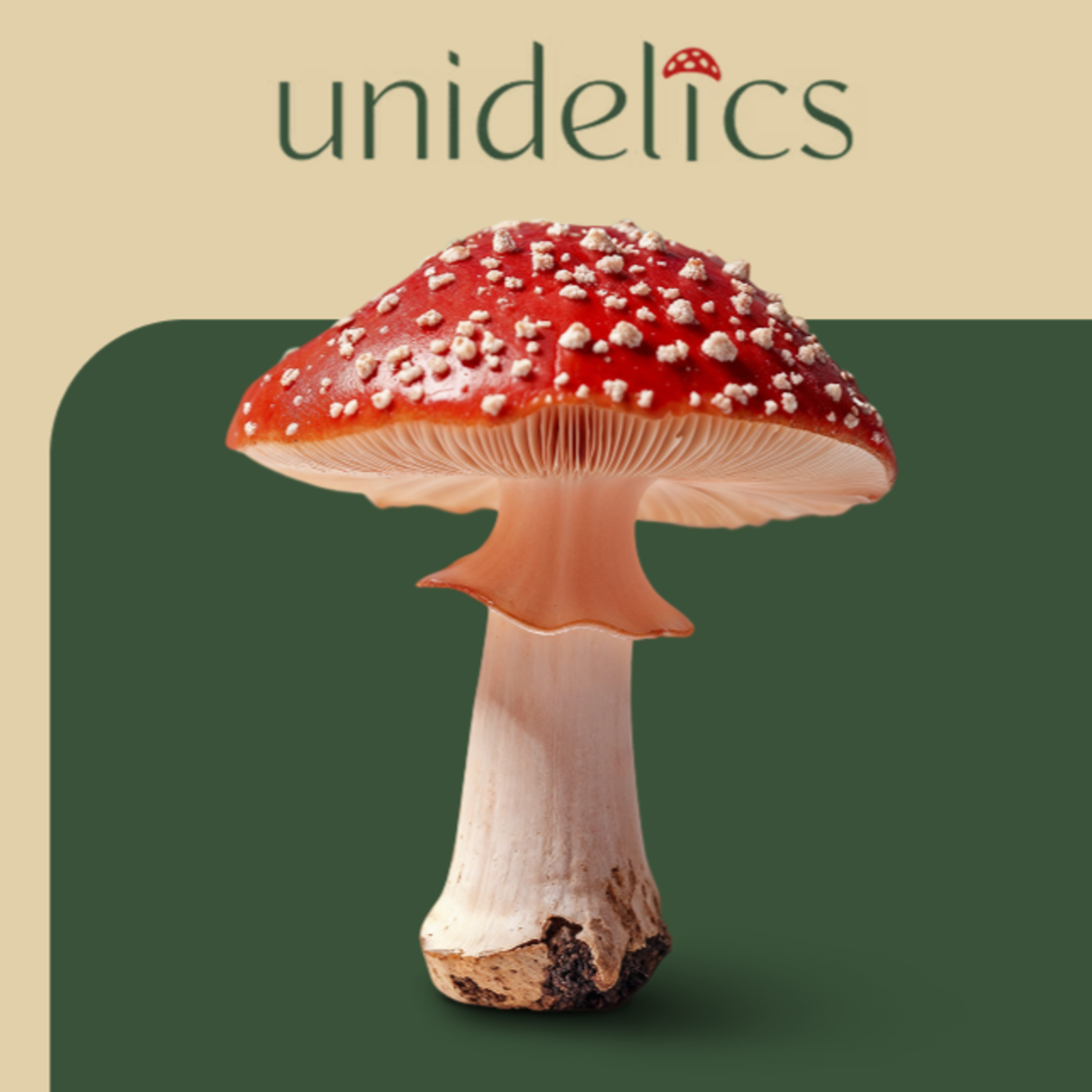 Unidelics: Tools for the Changing Mind (ENG)
