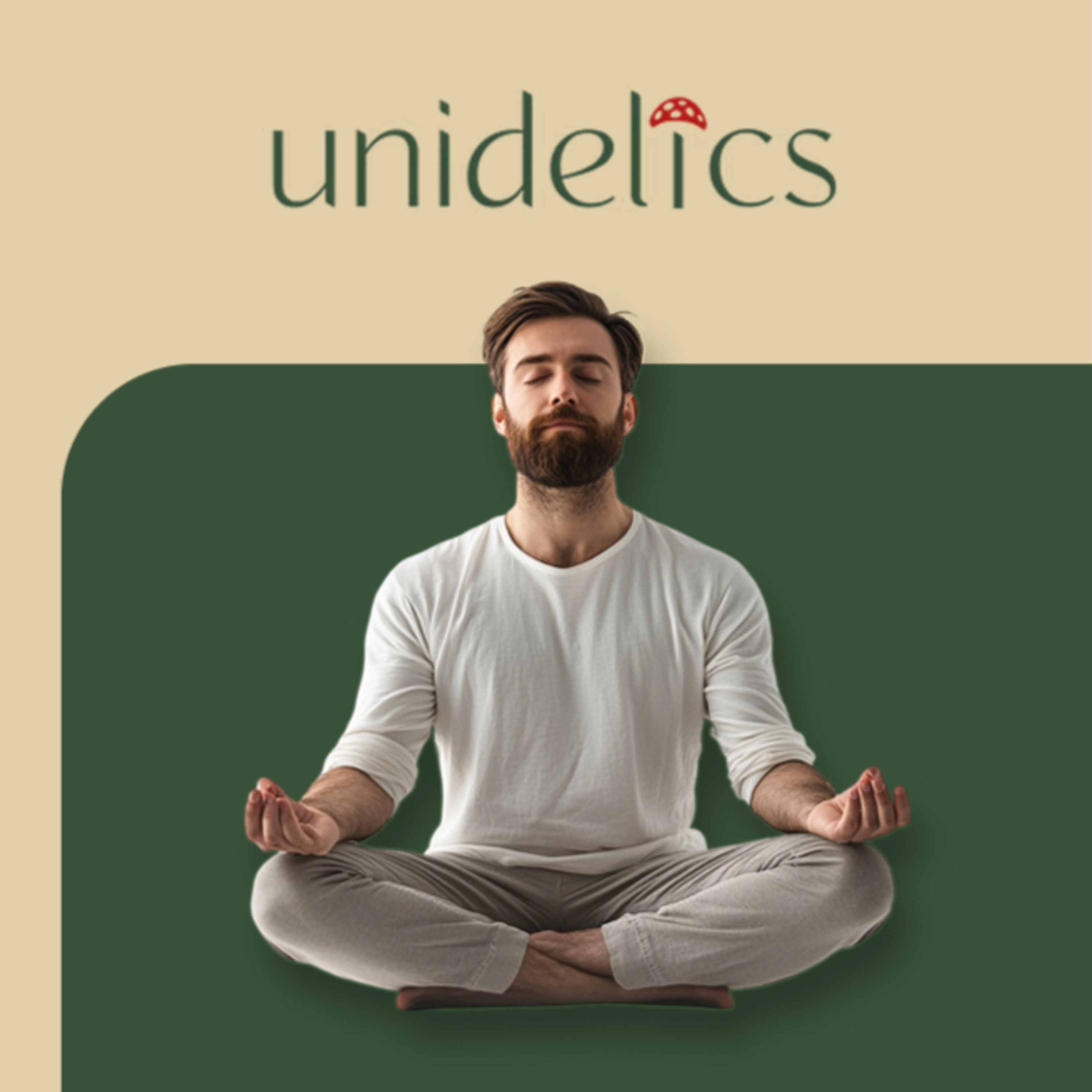 Unidelics: Tools for the Changing Mind (ENG)