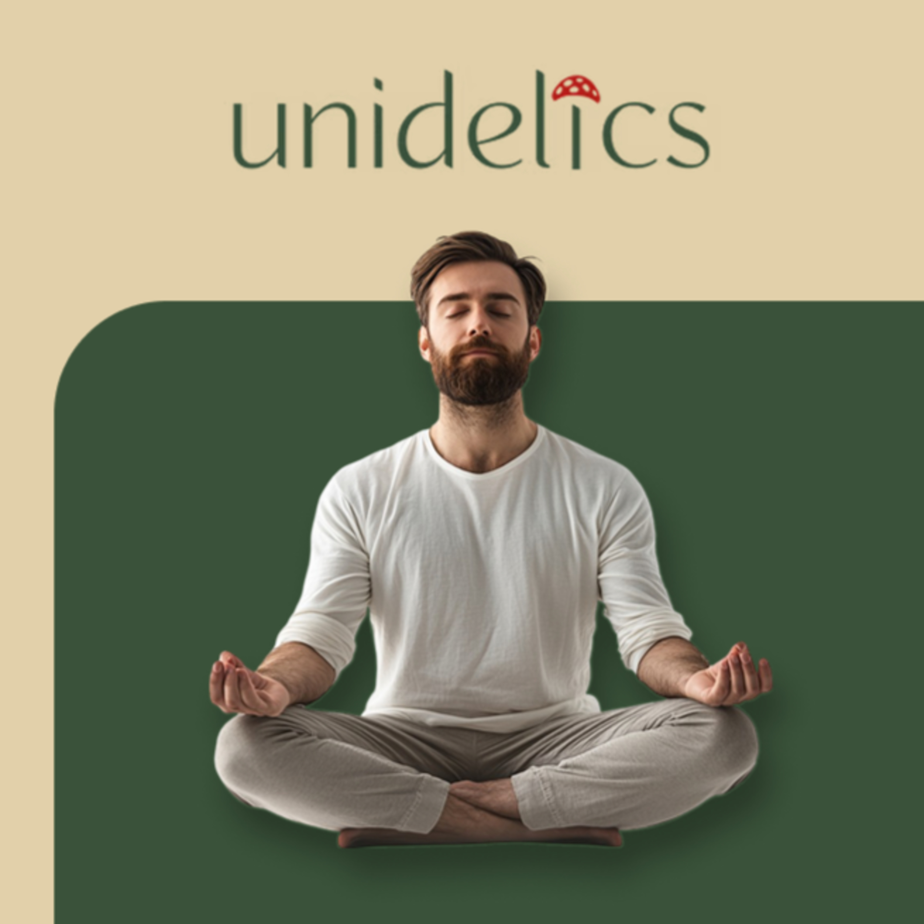 Unidelics: Tools for the Changing Mind (ENG)