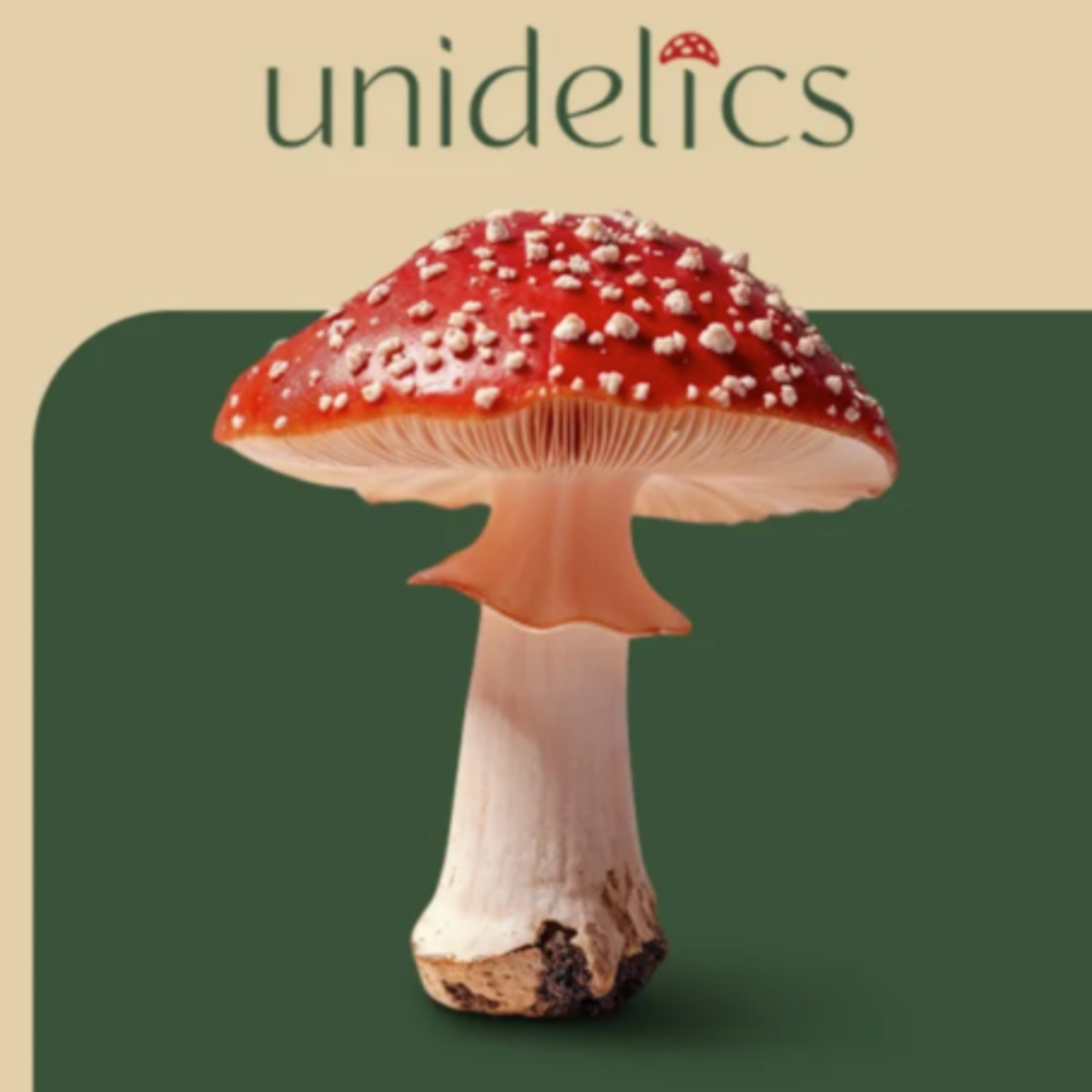 Unidelics: Tools for the Changing Mind (ENG)
