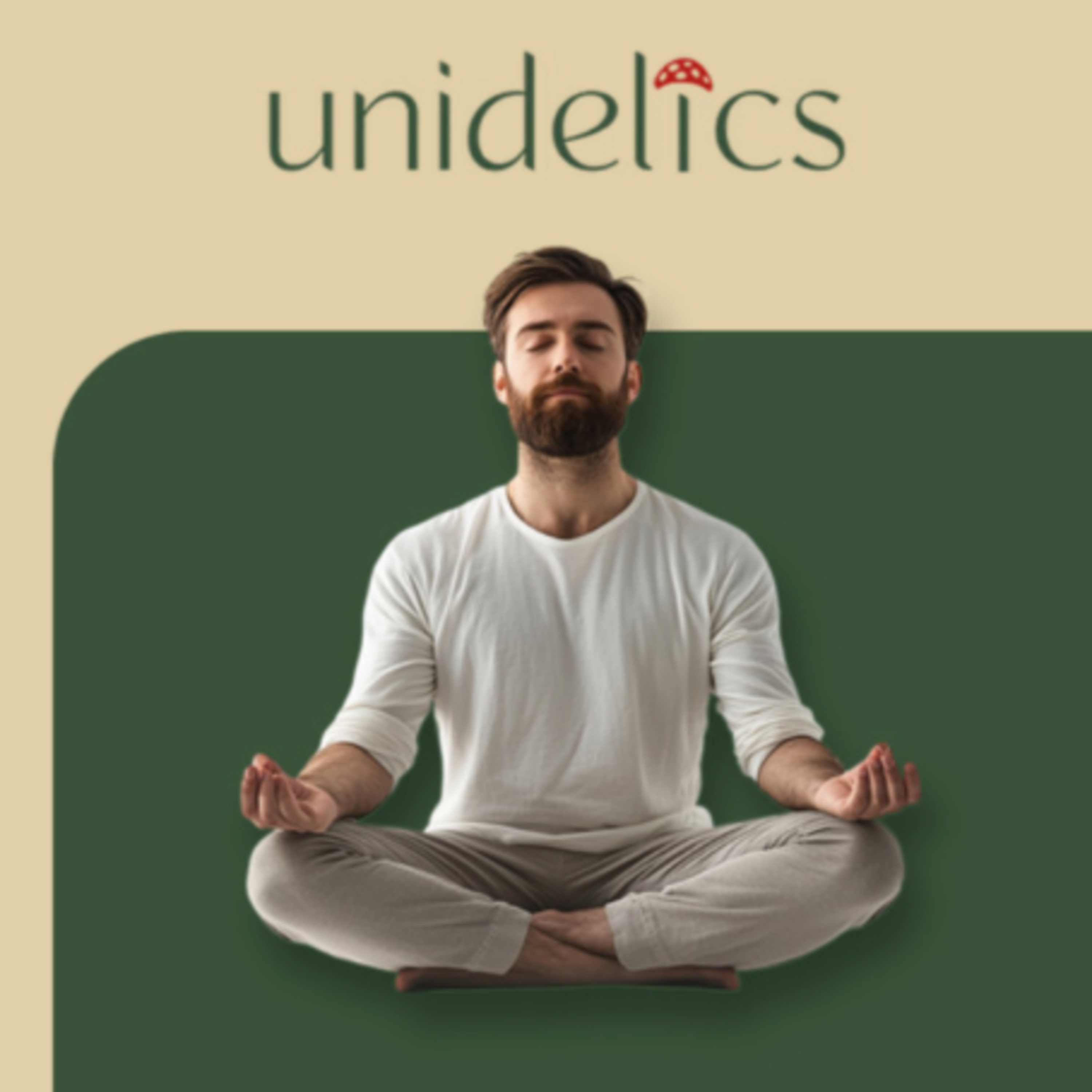 Unidelics: Tools for the Changing Mind (ENG)