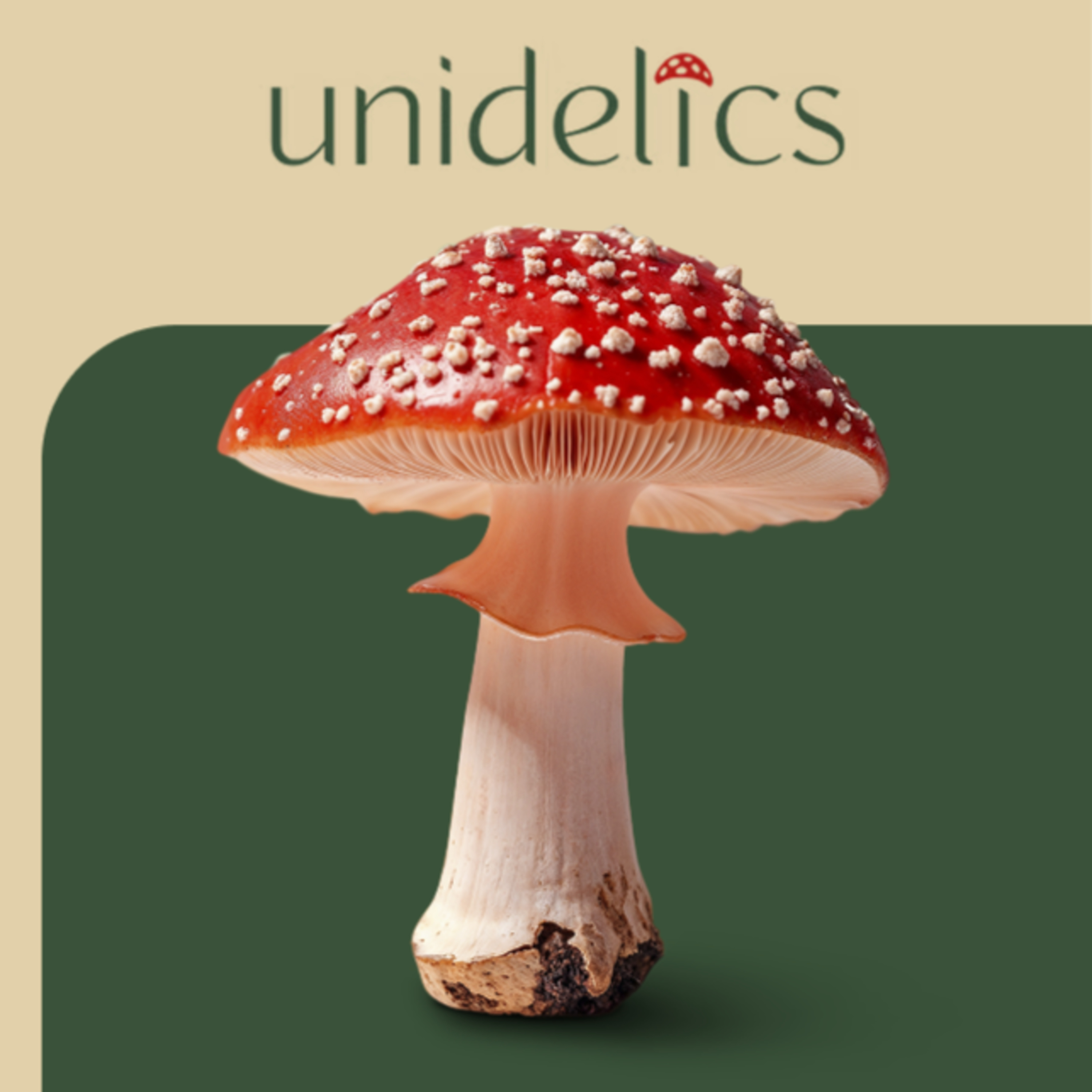 Unidelics: Tools for the Changing Mind (ENG)