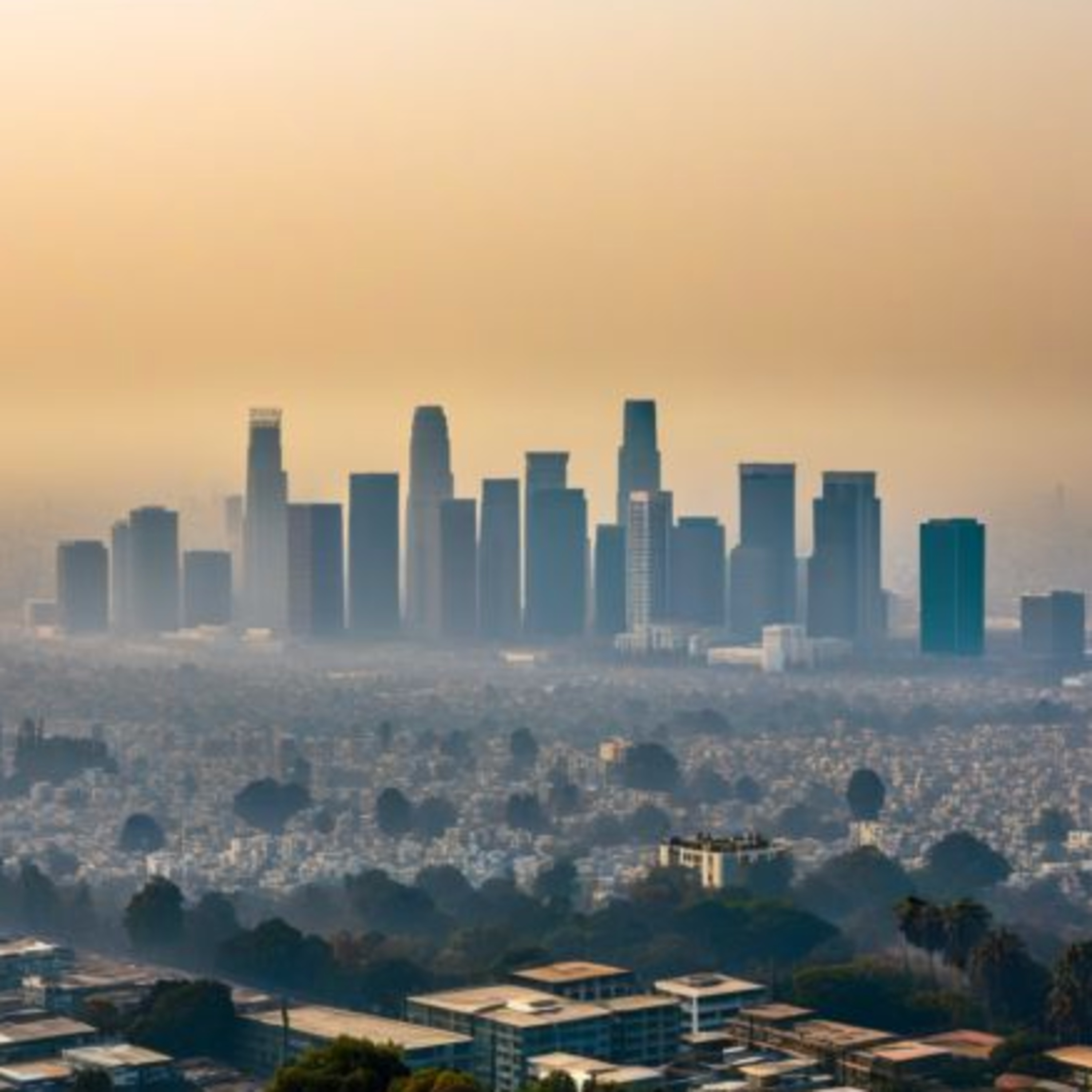 Daily Dose of Insight