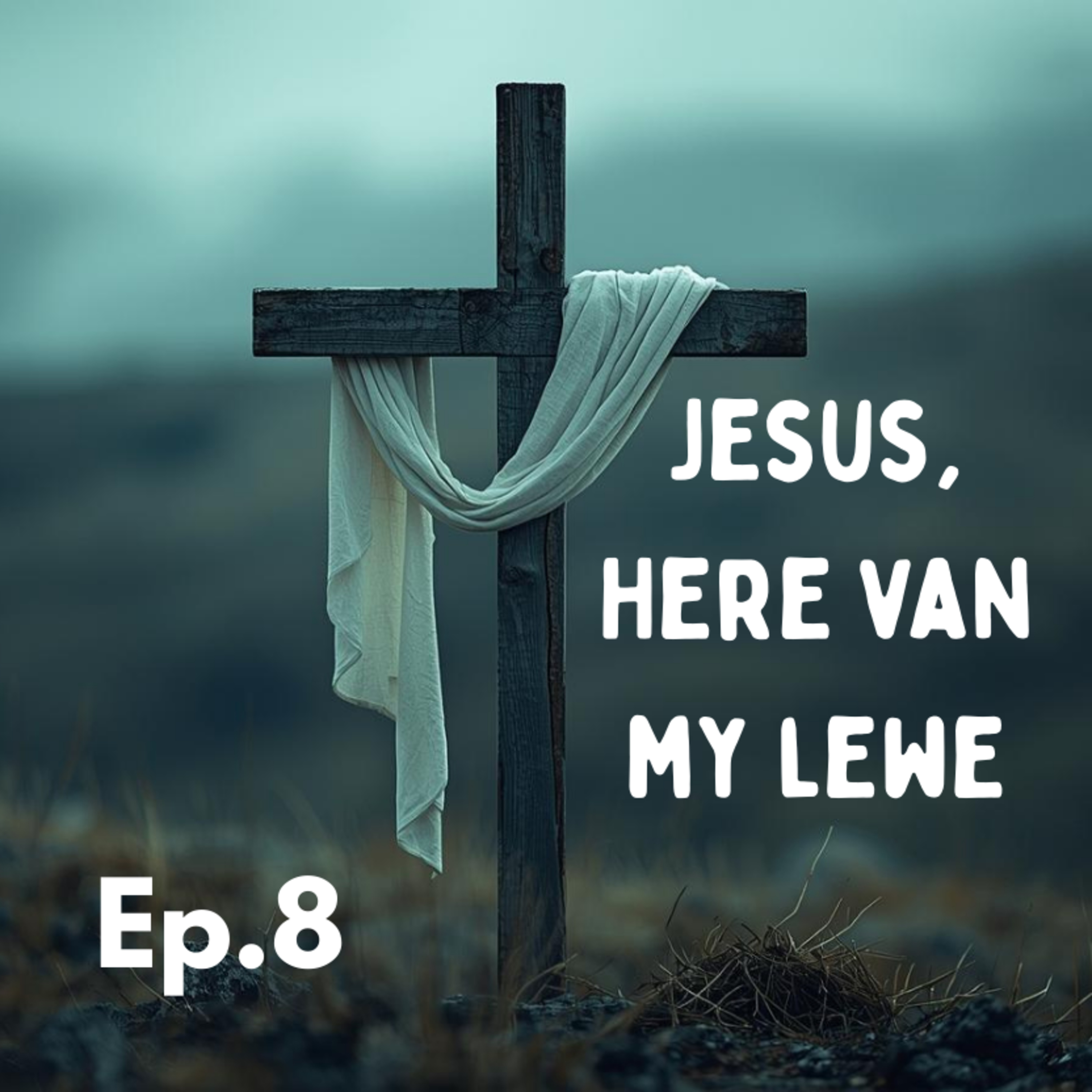 Ep8 - Jesus, Here van my Lewe episode artwork
