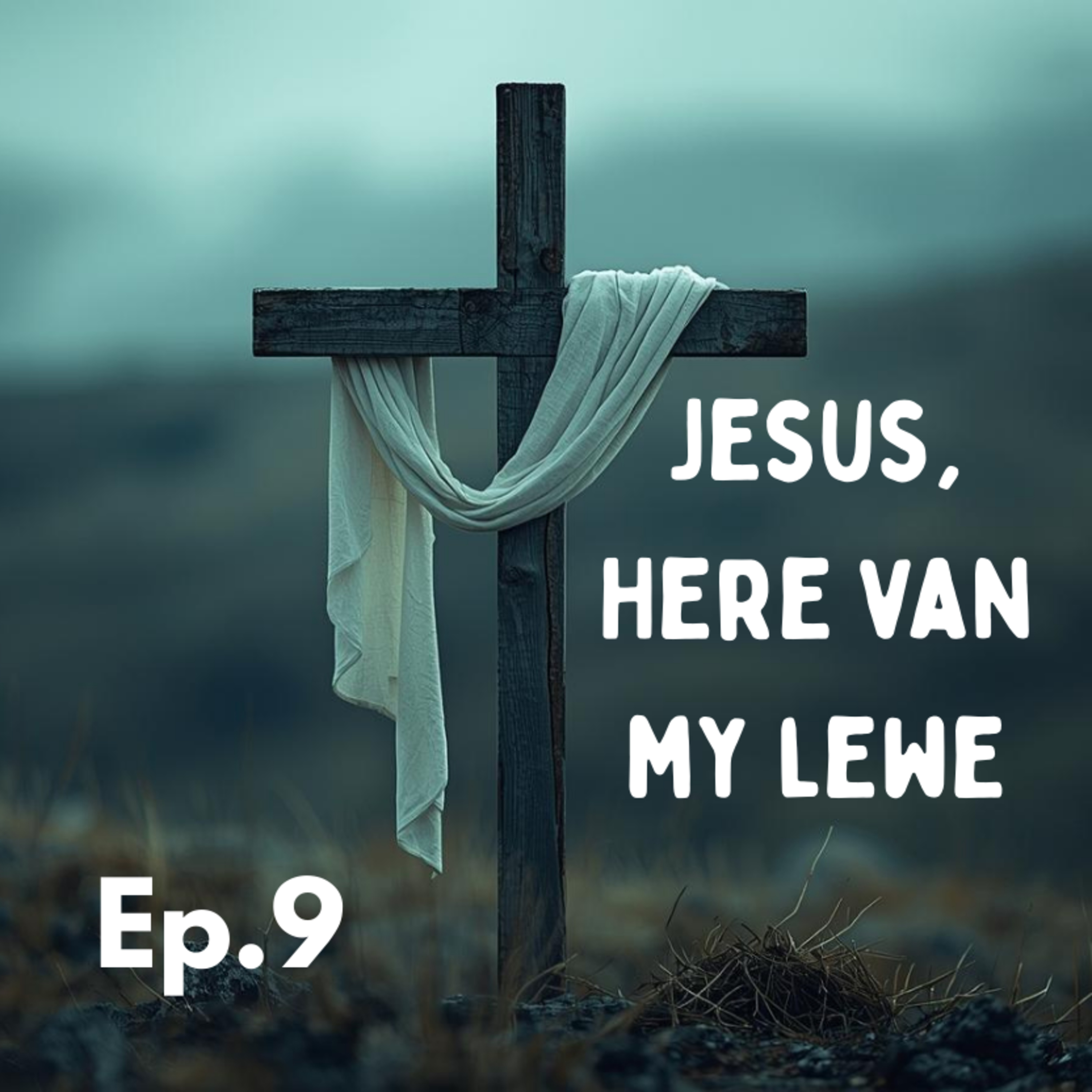 Ep9 - Jesus, Here van my Lewe episode artwork