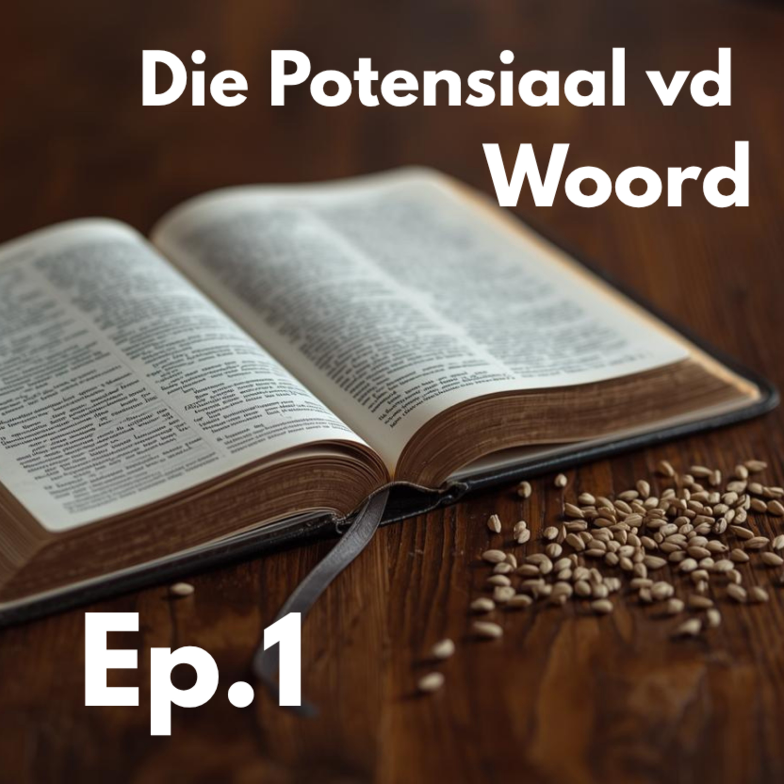 Ep1 - Die Potensiaal vd Woord episode artwork