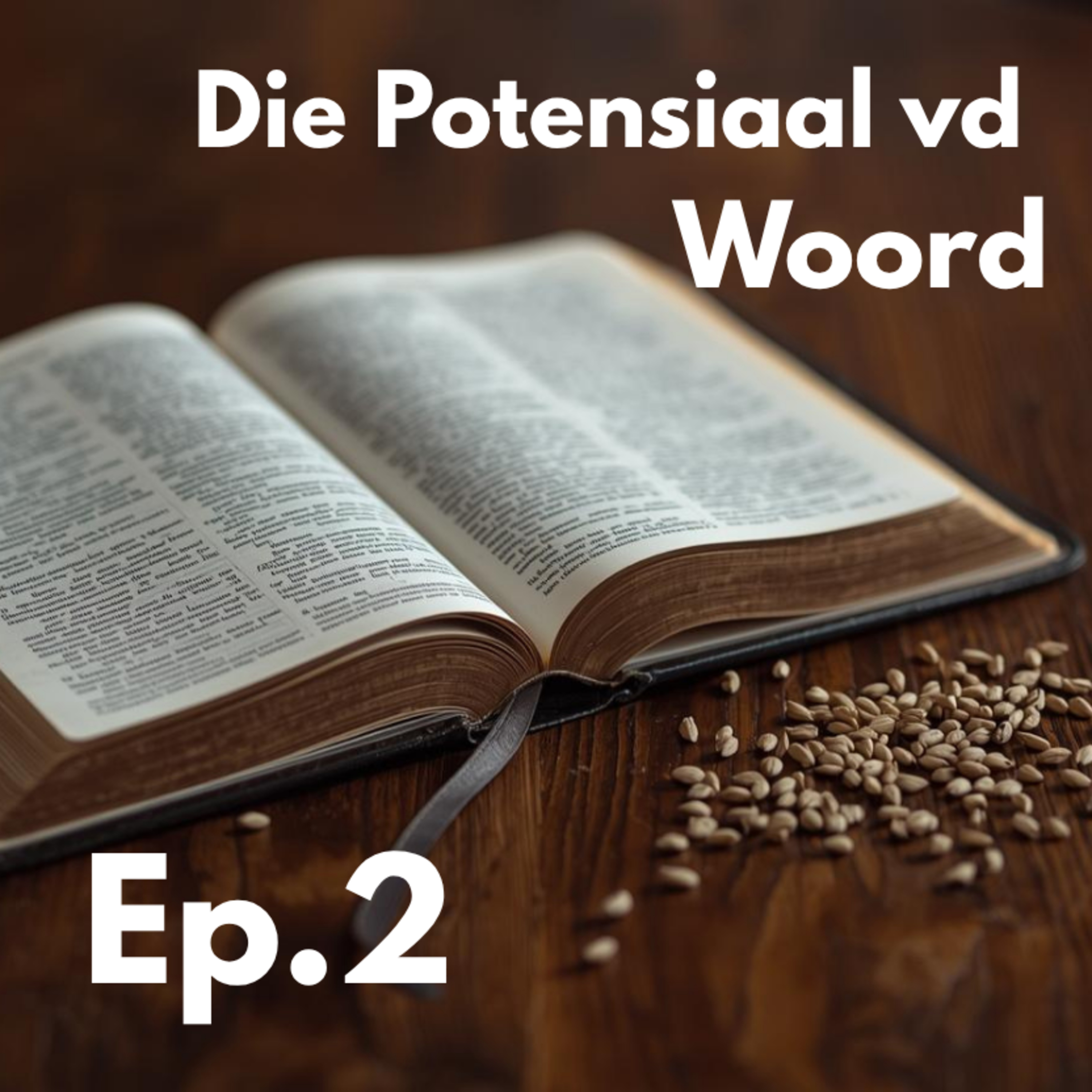 Ep2 - Die Potensiaal vd Woord episode artwork