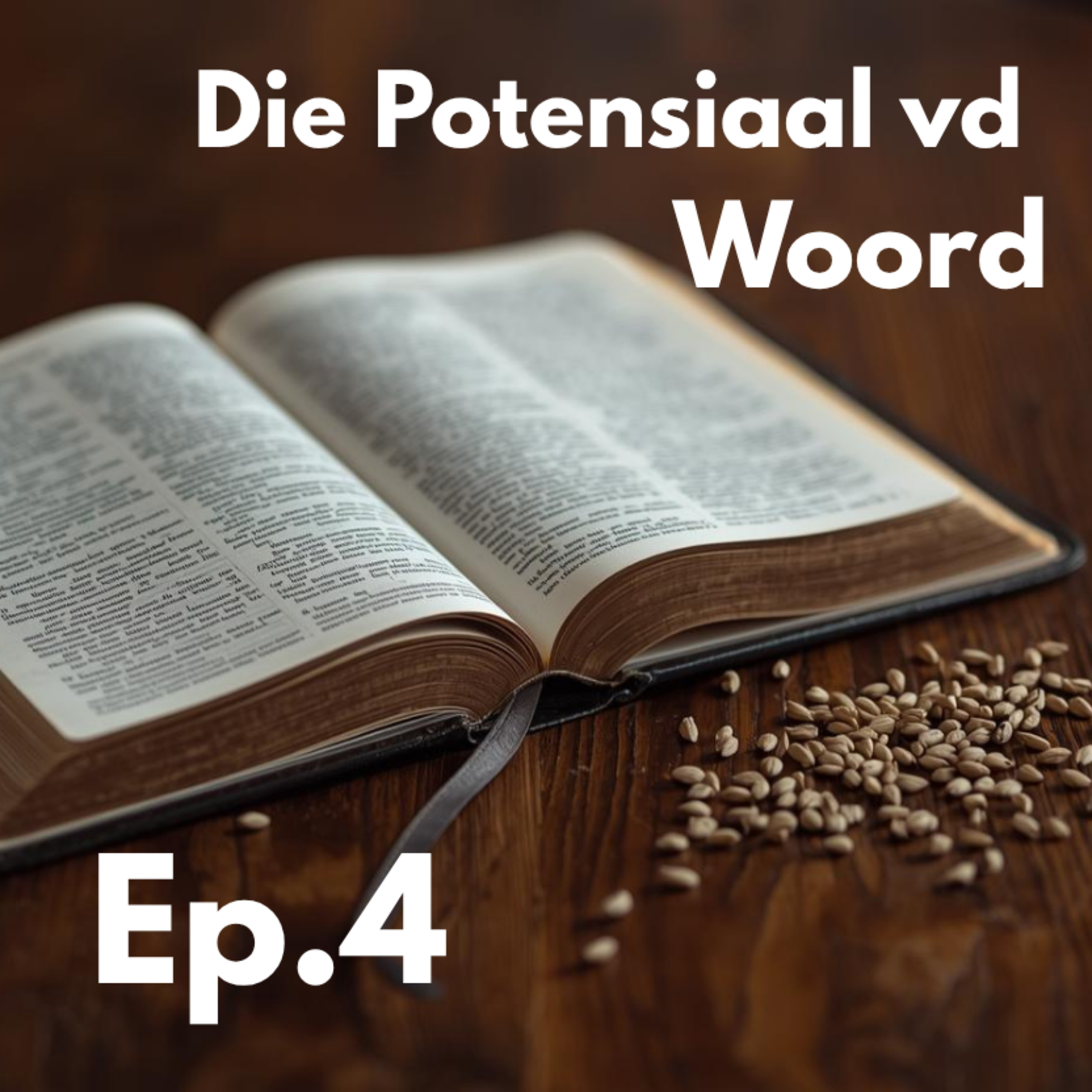 Ep4 - Die Potensiaal vd Woord episode artwork