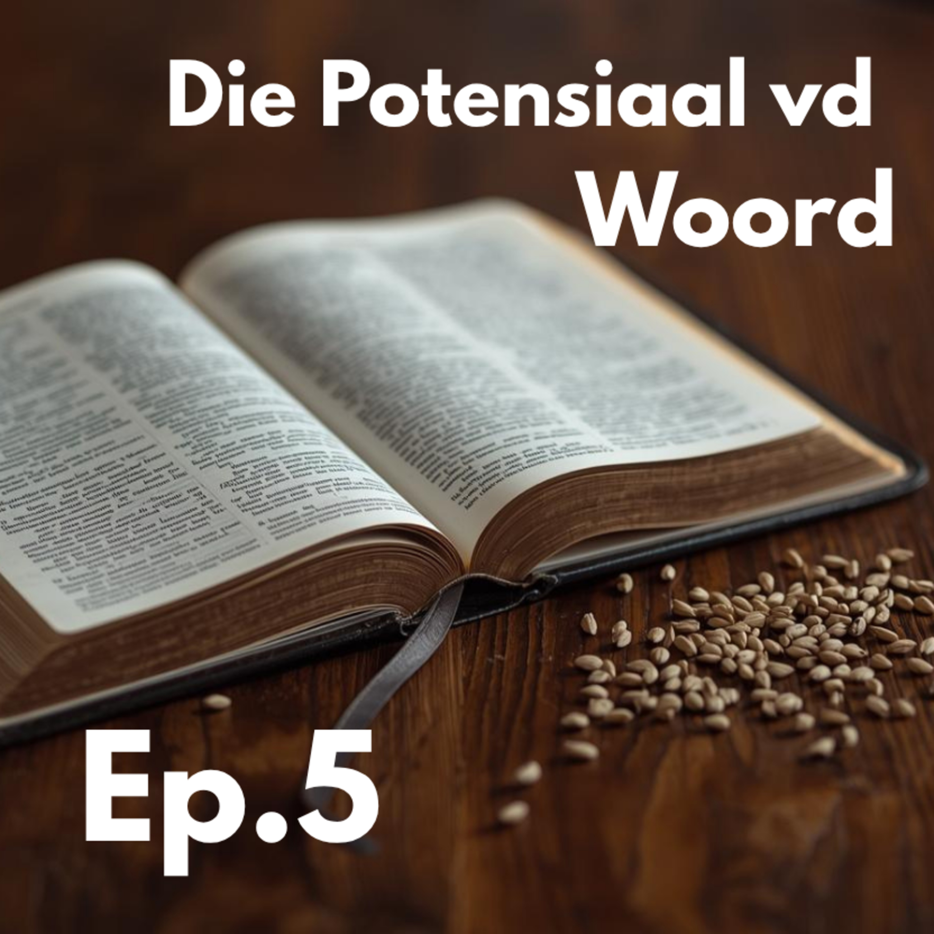 Ep5 - Die Potensiaal vd Woord episode artwork