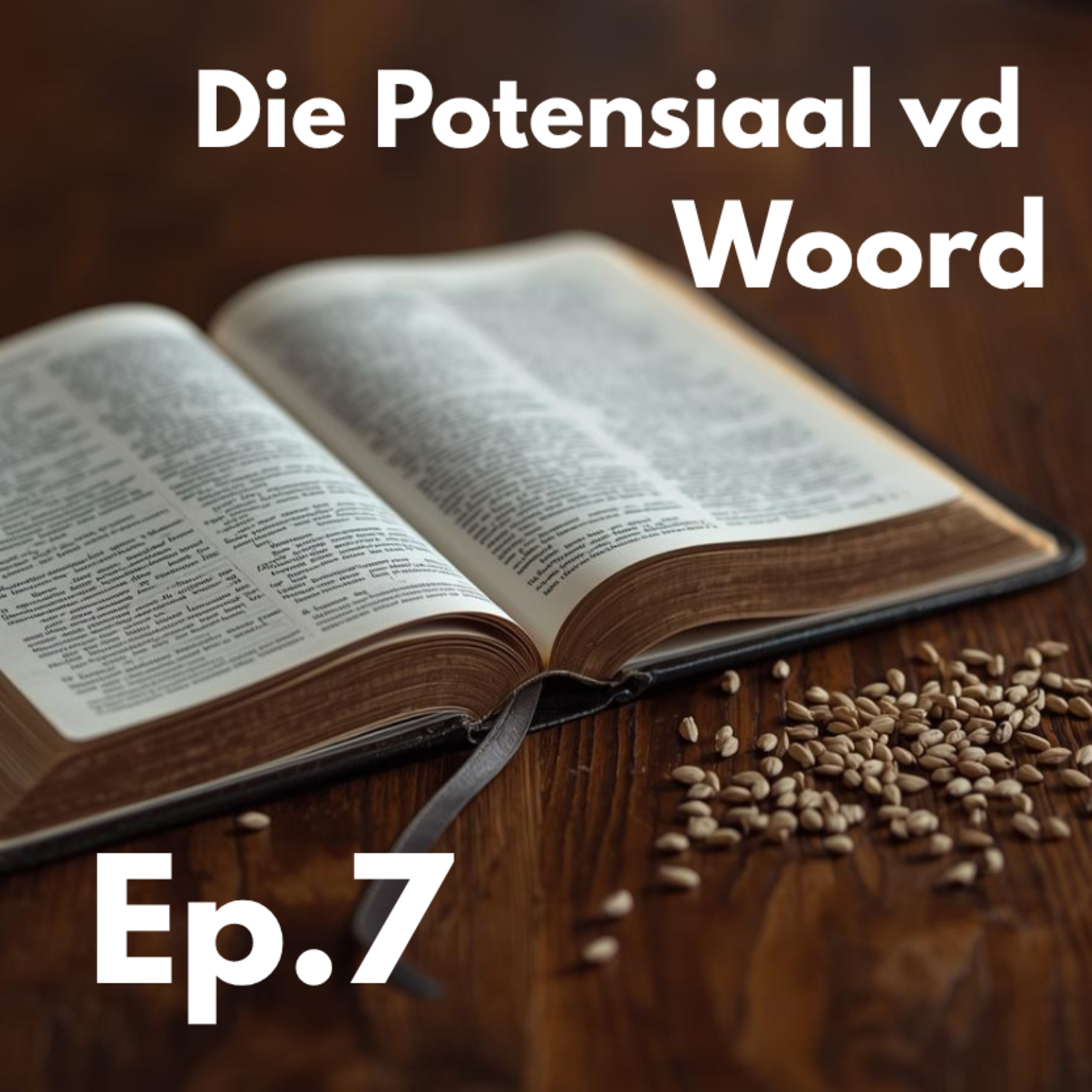 Ep7 - Die Potensiaal vd Woord episode artwork