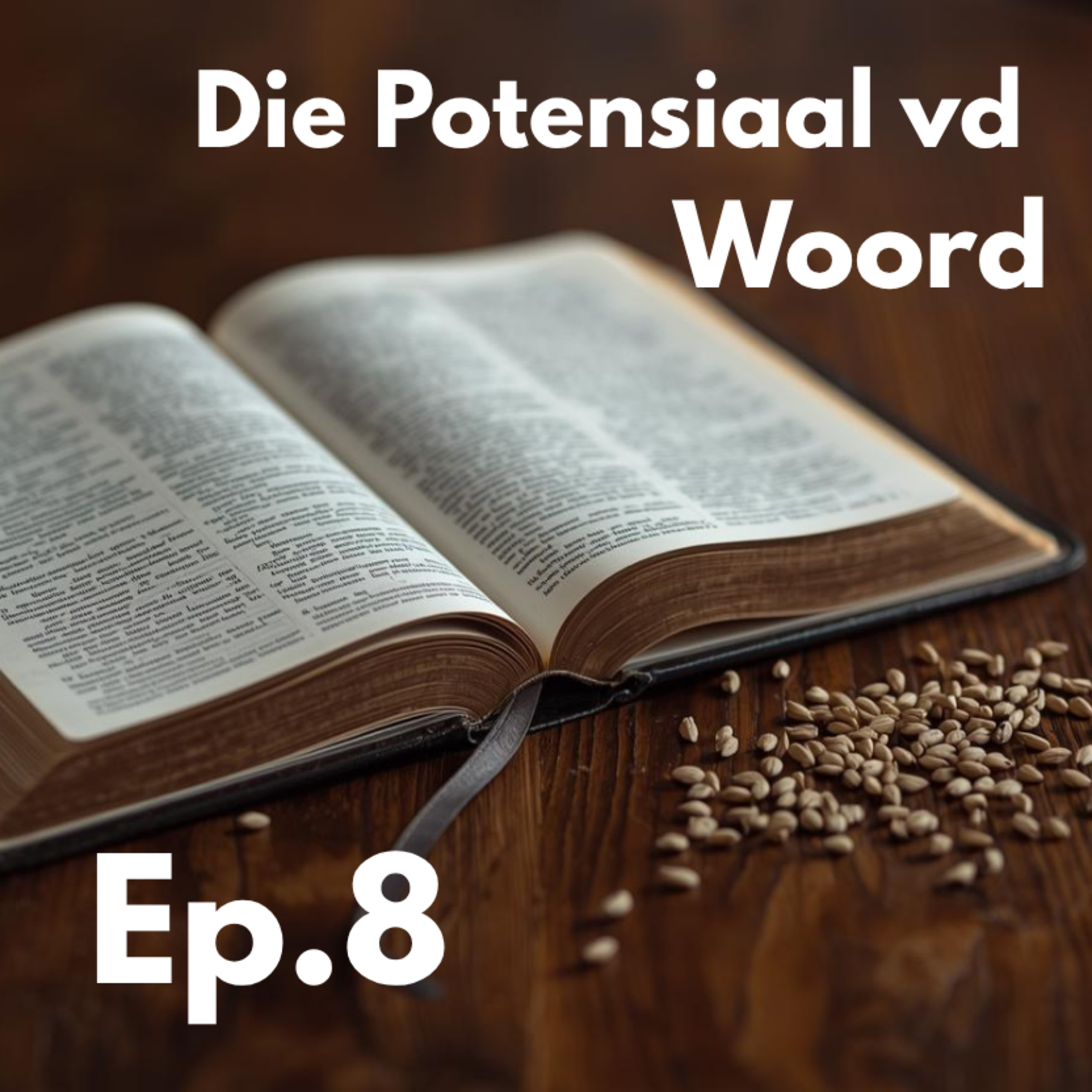 Ep8 - Die Potensiaal vd Woord episode artwork
