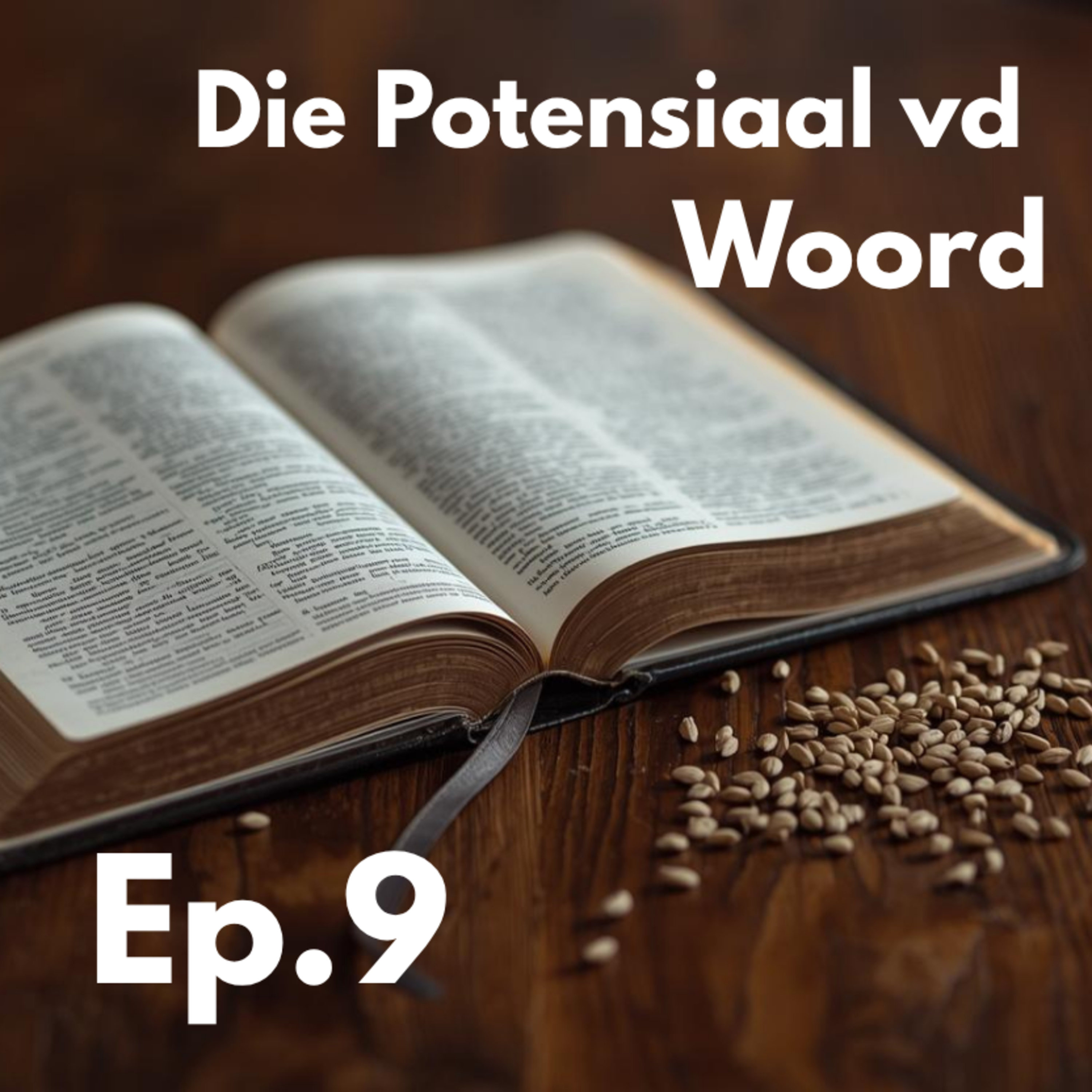Ep9 - Die Potensiaal vd Woord episode artwork
