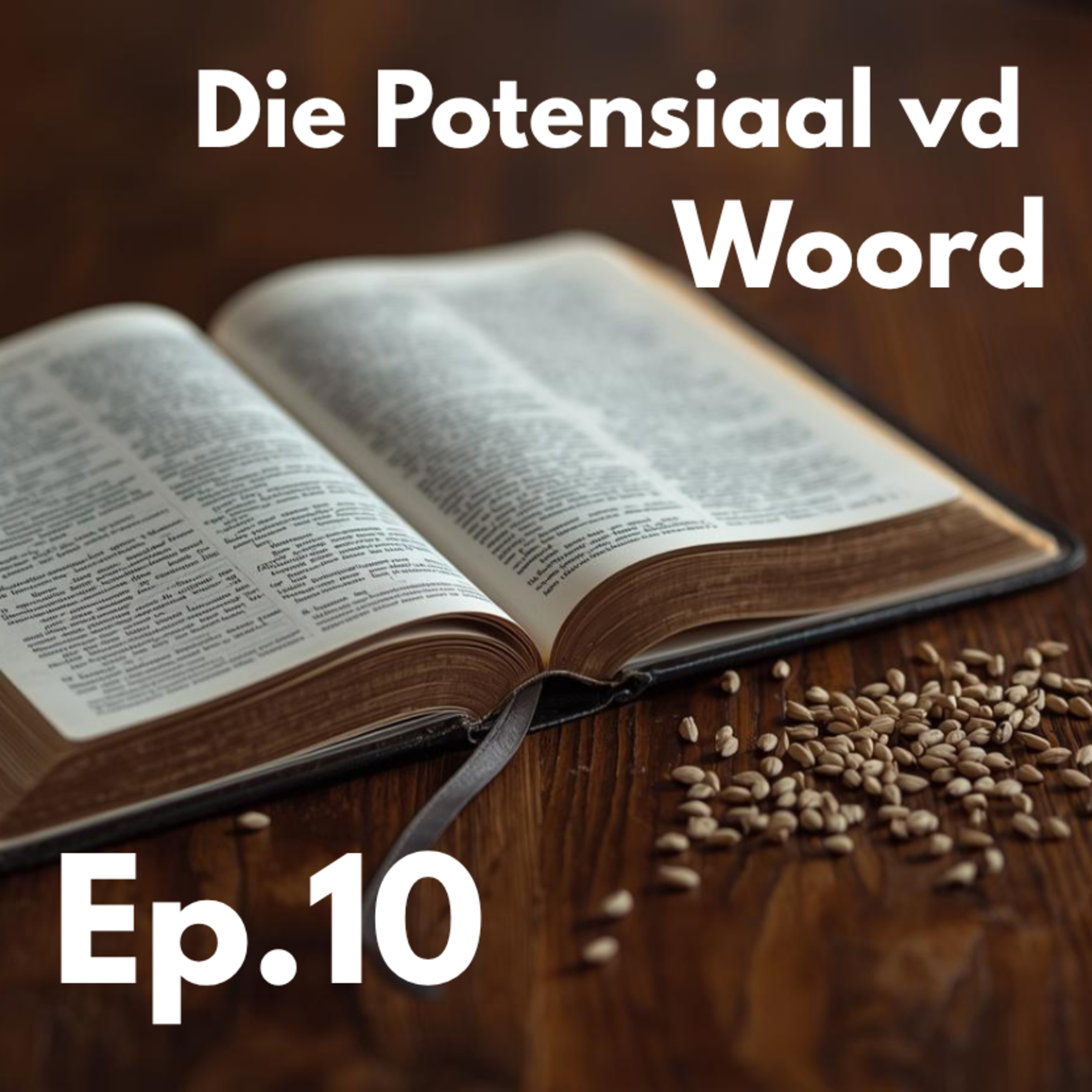 Ep10 - Die Potensiaal vd Woord episode artwork