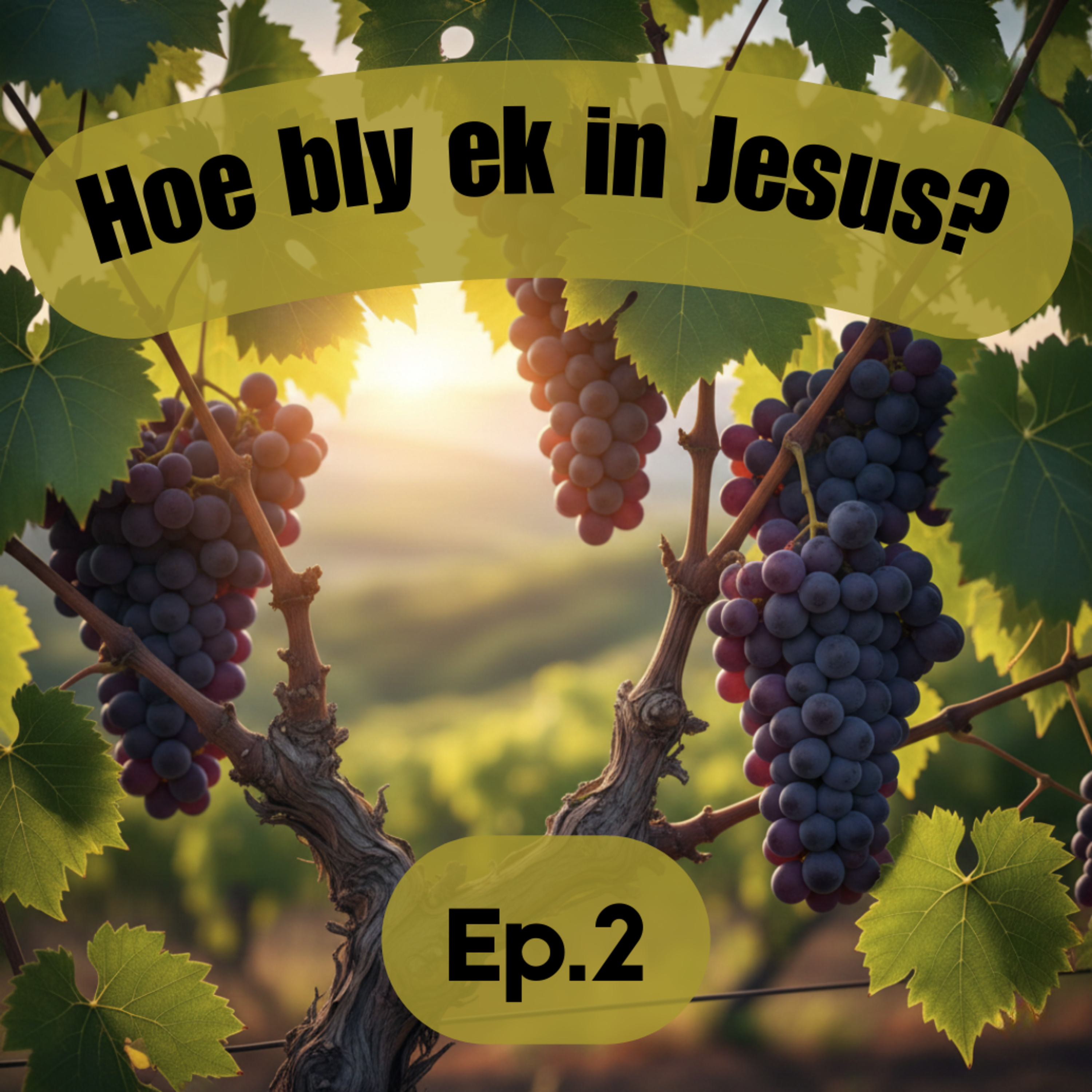 Ep2 - Hoe bly ek in Jesus? - Behou jou konneksie met Sy Woord episode artwork