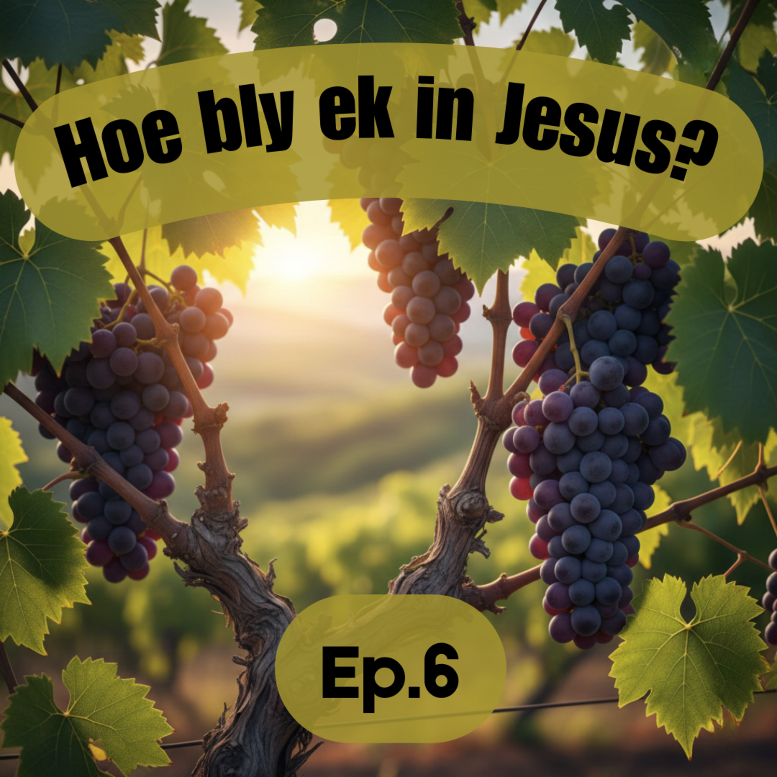 Ep6 - Hoe bly ek in Jesus? - Werp al jou bekommernis op Hom episode artwork