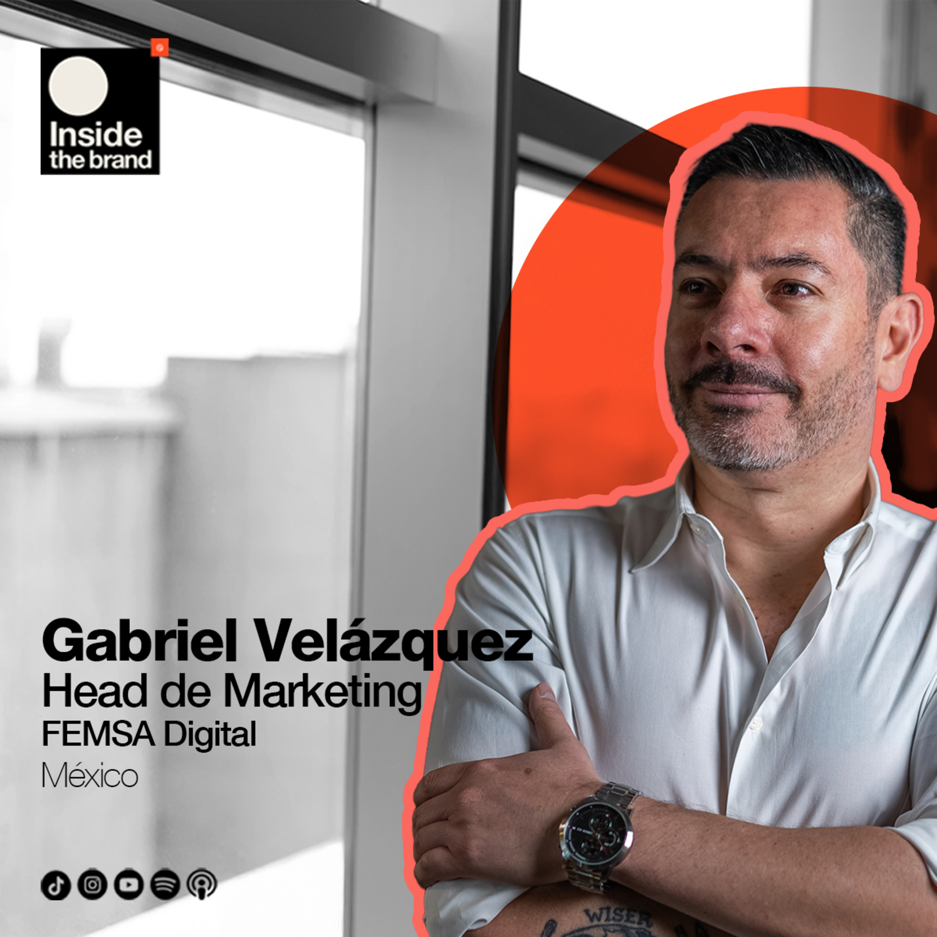 Portada de Inside the brand
