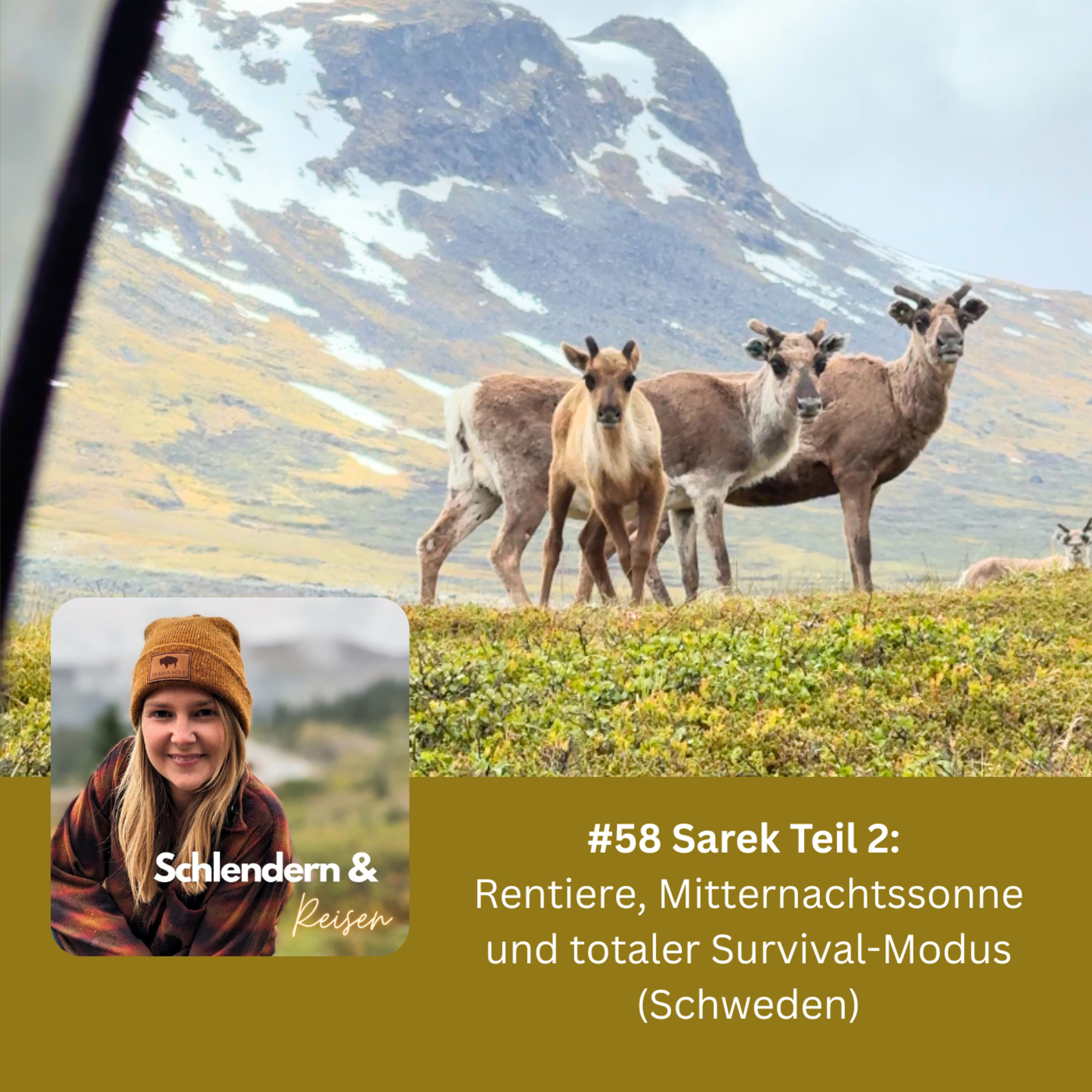 #58 Sarek Teil 2: Rentiere, Mitternachtssonne und totaler Survival-Modus (Schweden) episode artwork