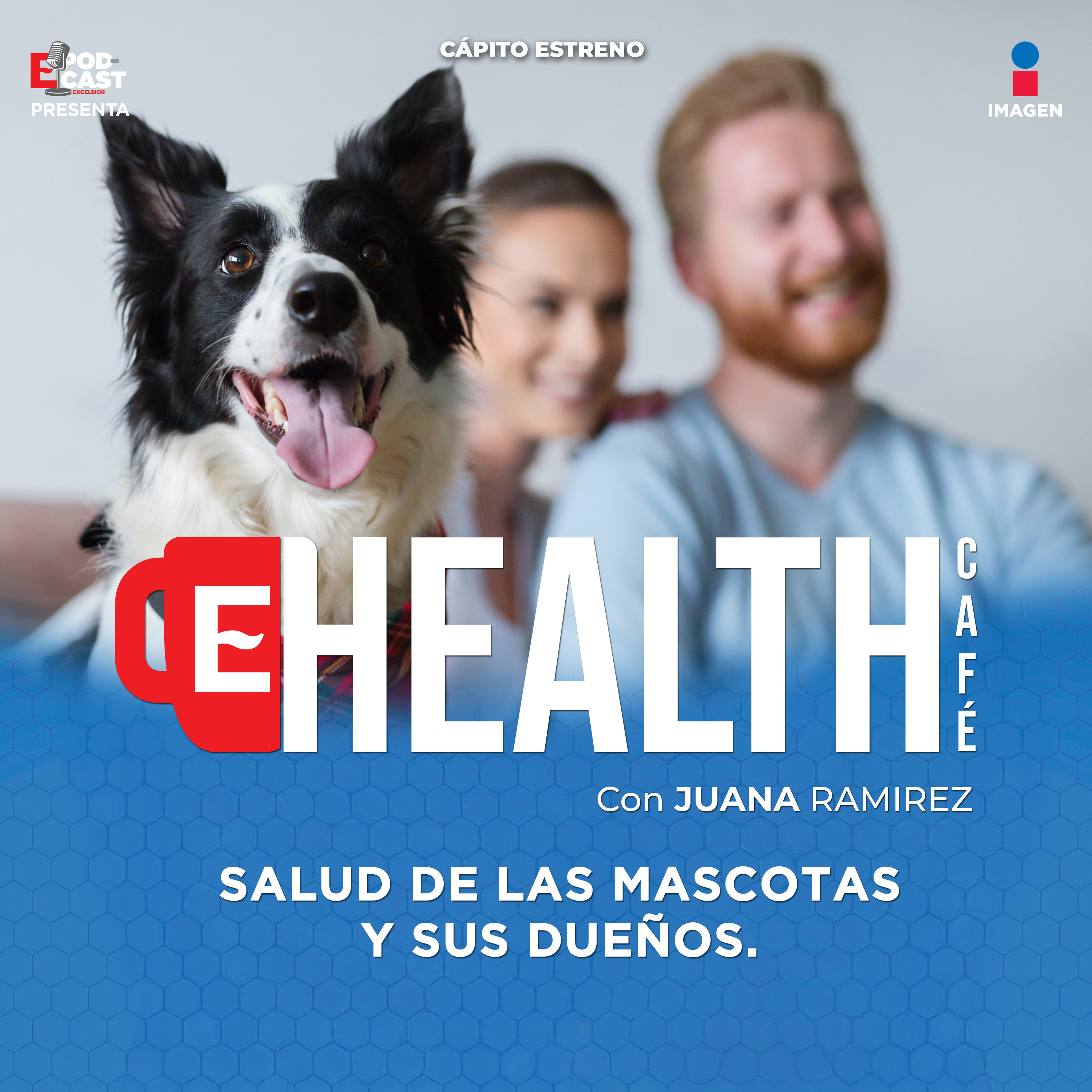 ¿Sabías que vivir con un perro o un gato puede reducir tu presión arterial? | T.1 - EP. 7 | Salud de las mascotas y sus dueños | Health Café episode artwork