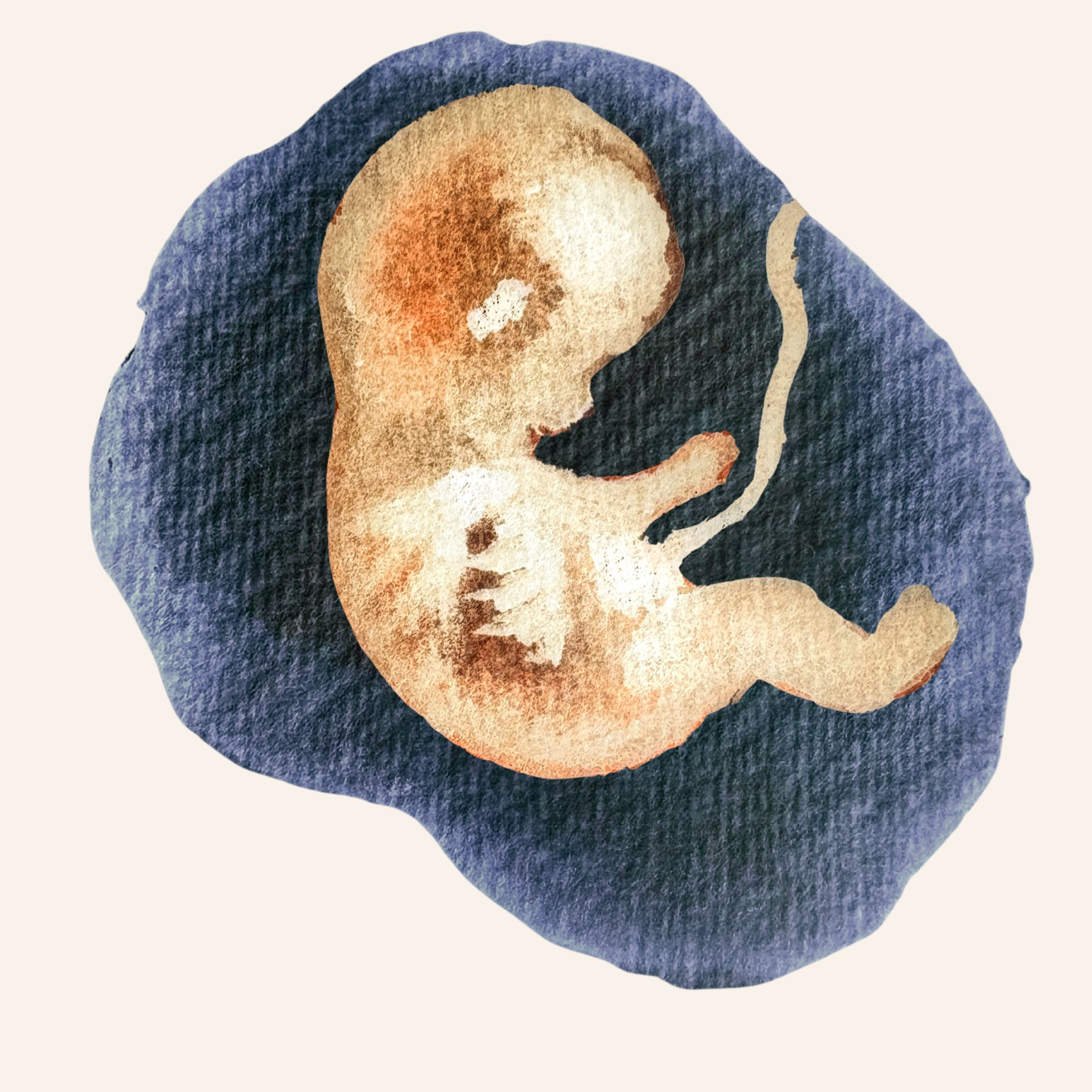 Preparing for Birth Interview with Daniela Marano — Ep. 14 Part 1 episode artwork