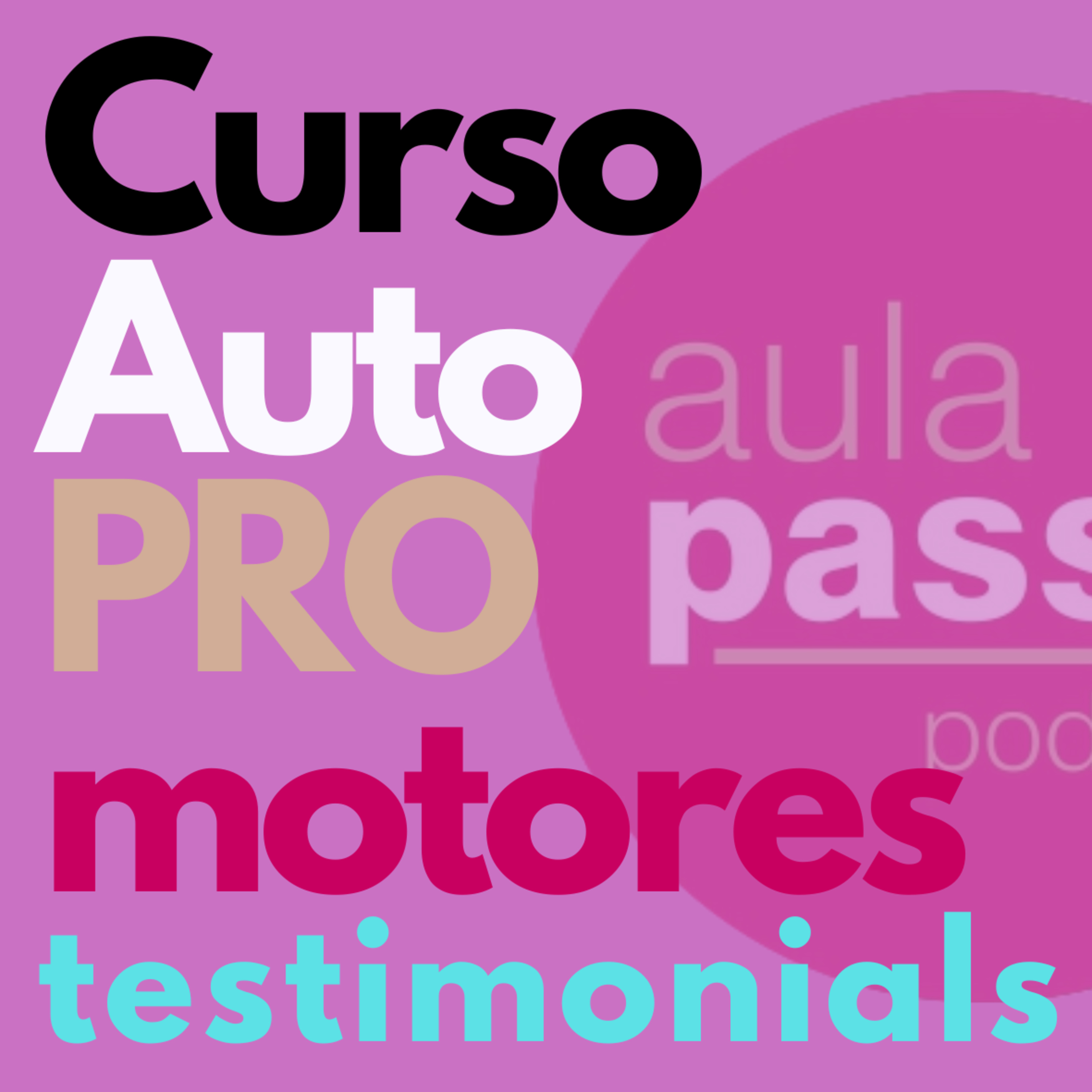 Portada de Aulapassiv